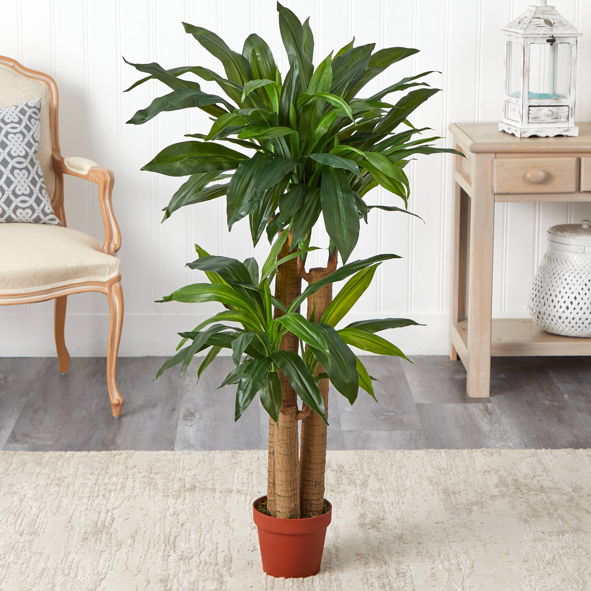 4ft. Corn Stalk Dracaena Silk Plant