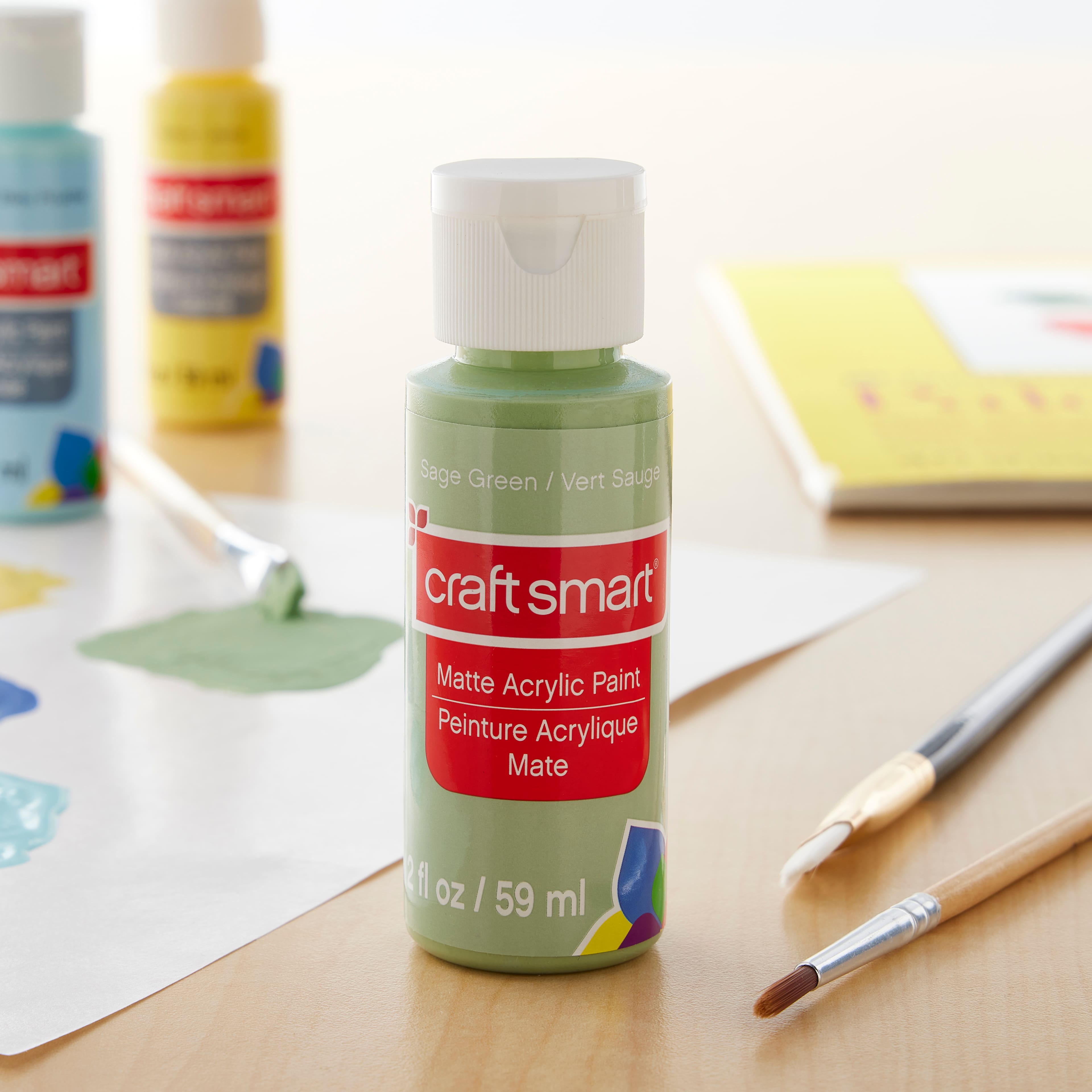 12 Pack: 2oz. Acrylic Paint by Craft Smart&#xAE;