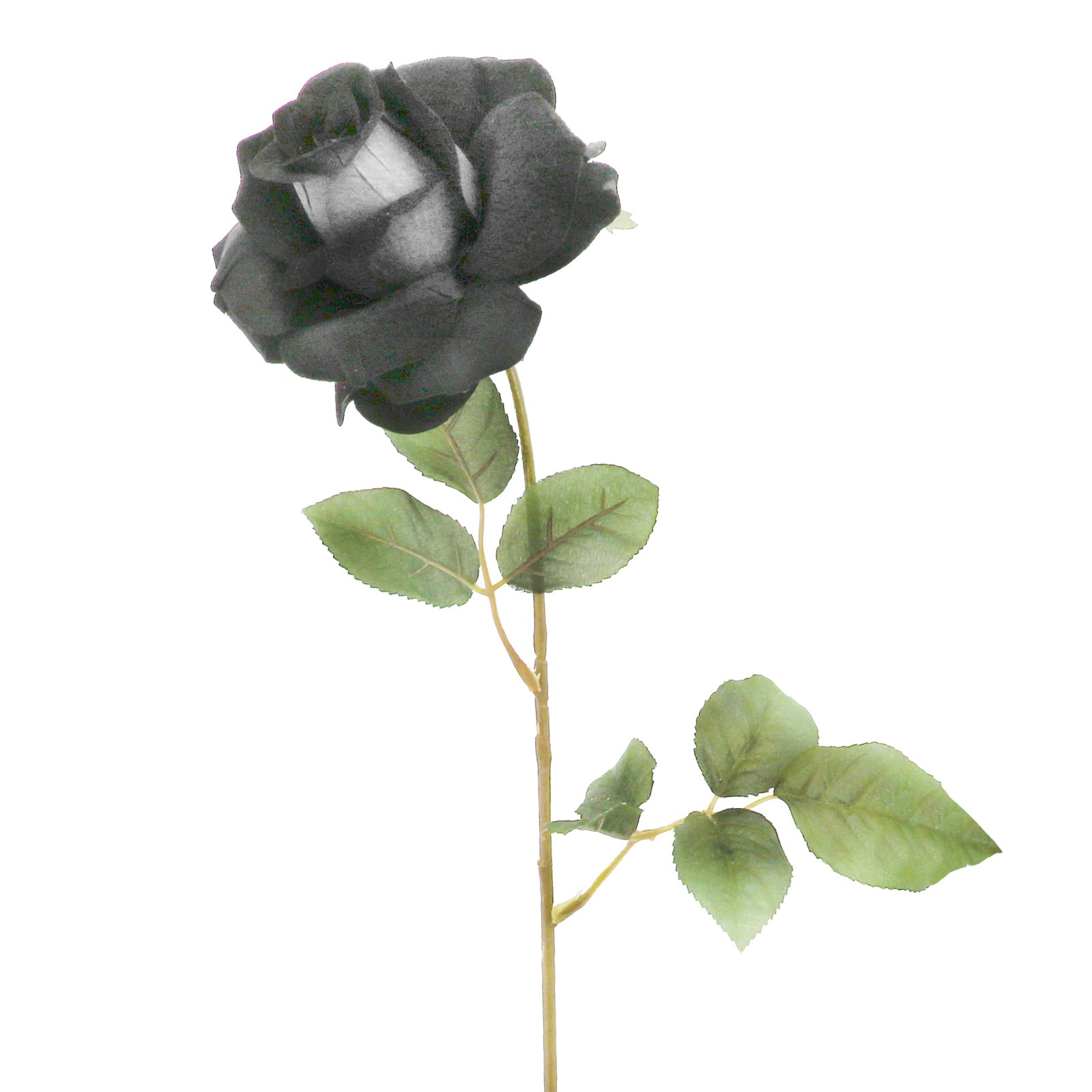 Black Velvet Rose Stem by Ashland&#xAE;