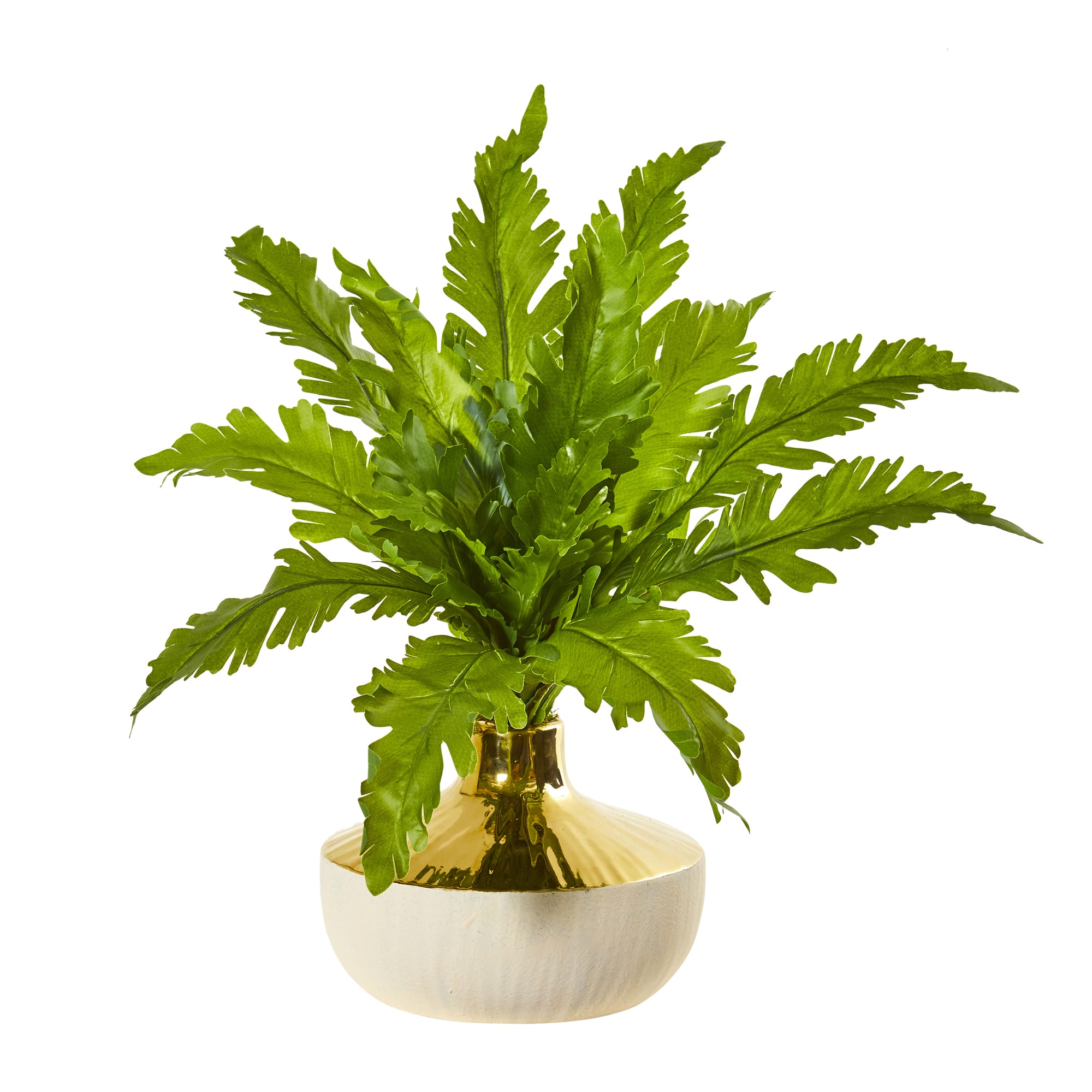 16" Fern in Designer Vase
