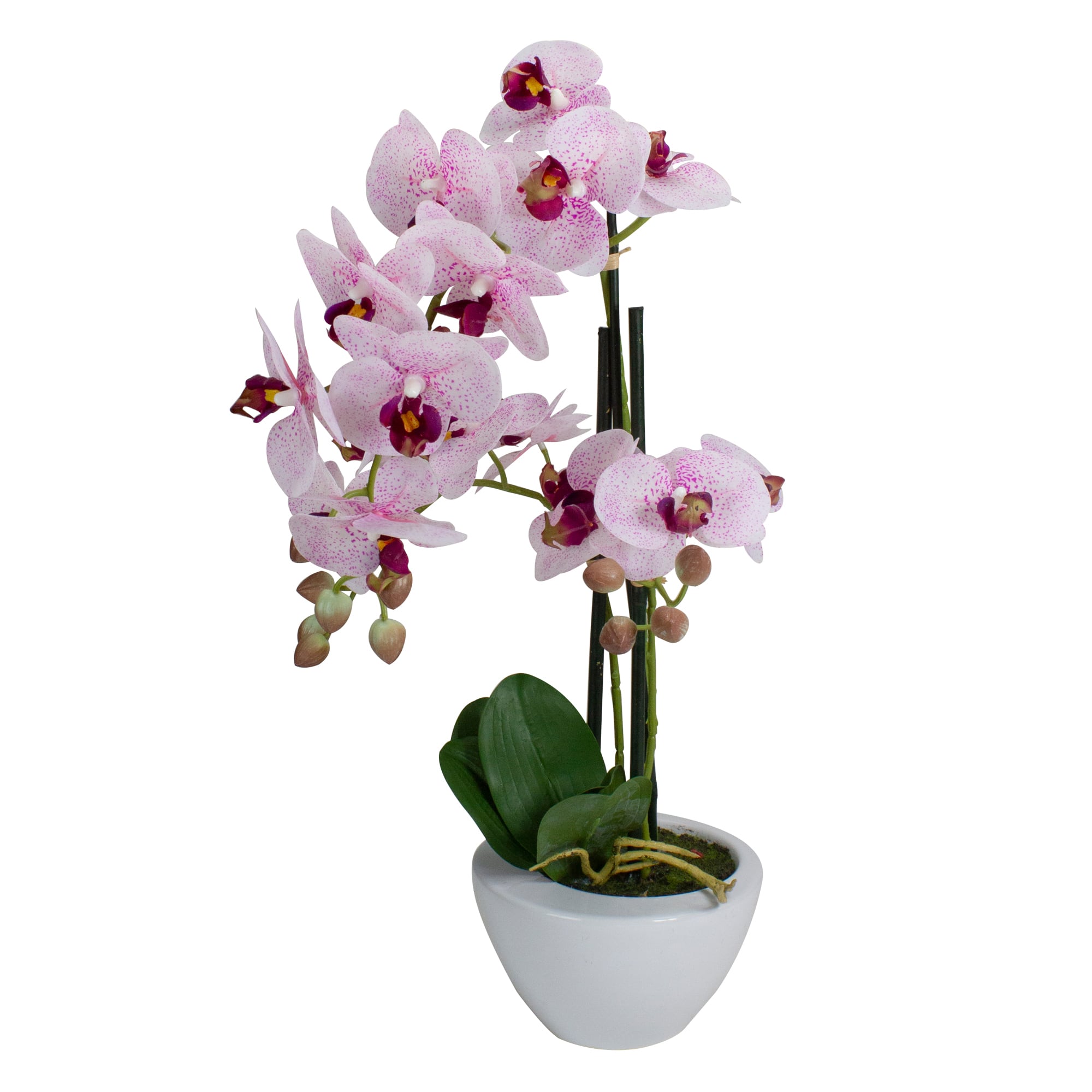 21&#x22; Pink &#x26; White Orchid Plant in White Pot