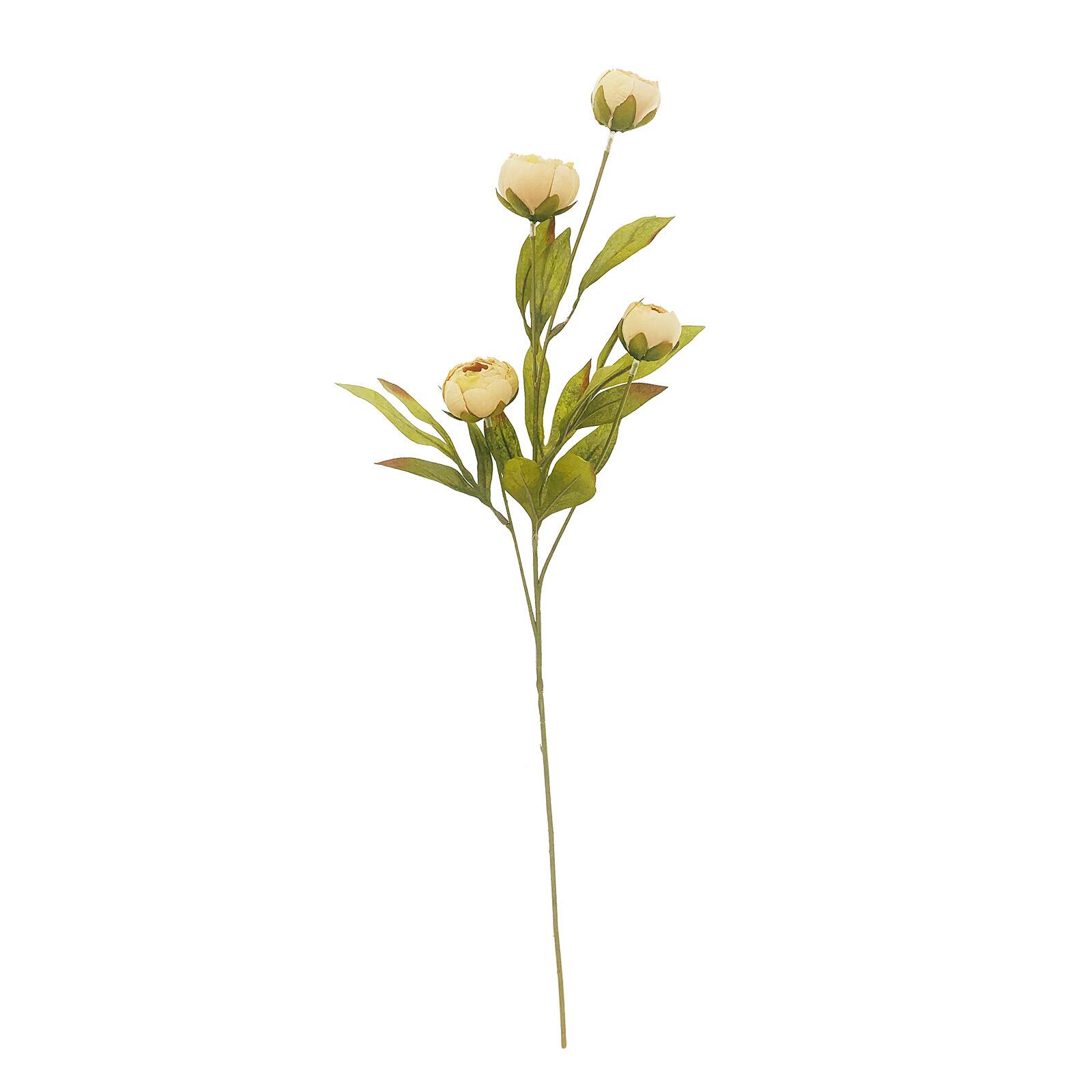 Tan Peony Stem by Ashland®