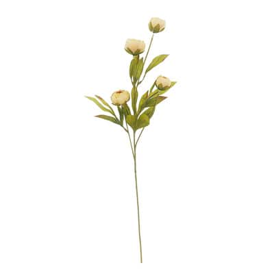 Tan Peony Stem by Ashland® image