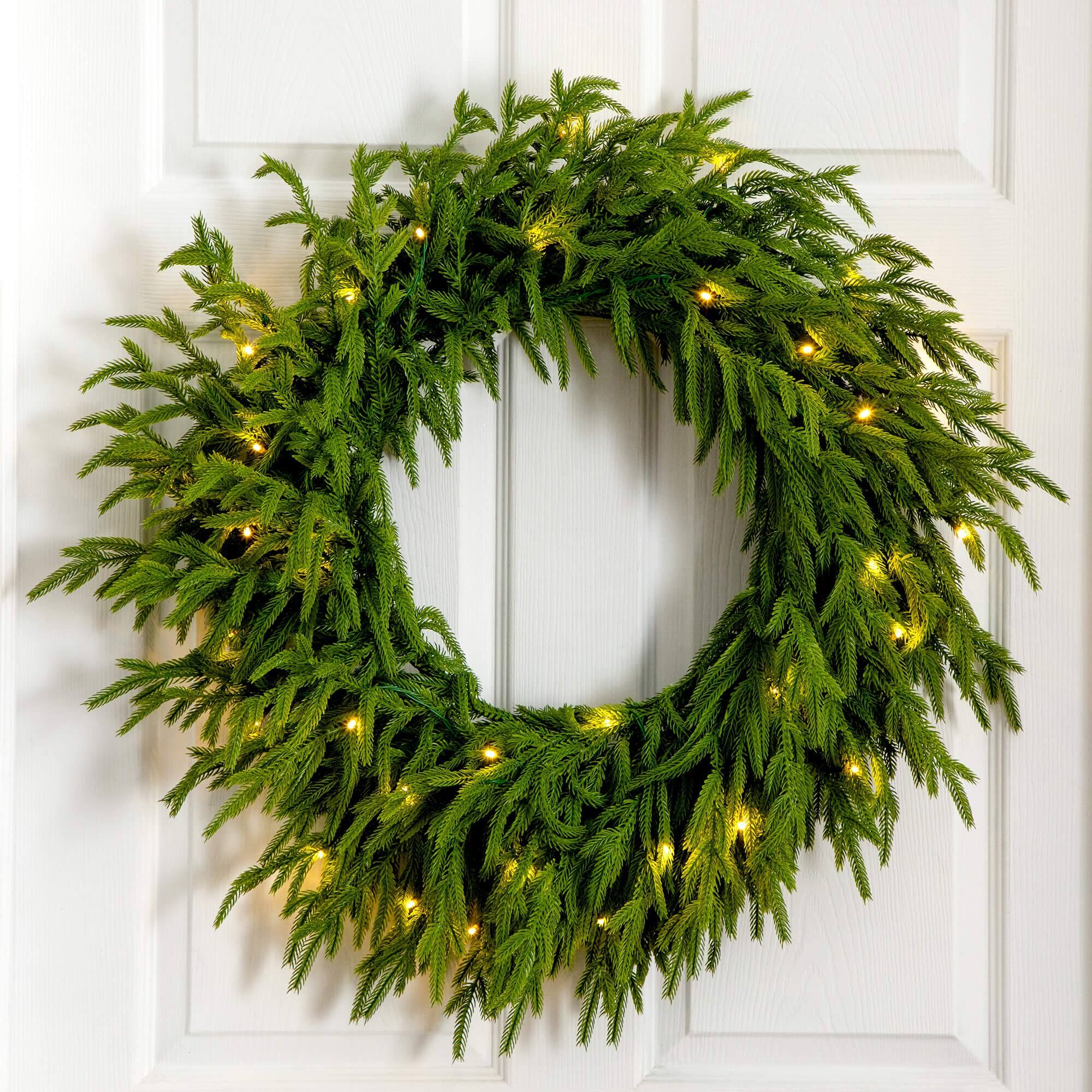 24in. Pre-Lit Artificial Real Touch Norfolk Island Pine Wreath with 50 Warm White LED Lights and Natural Look
