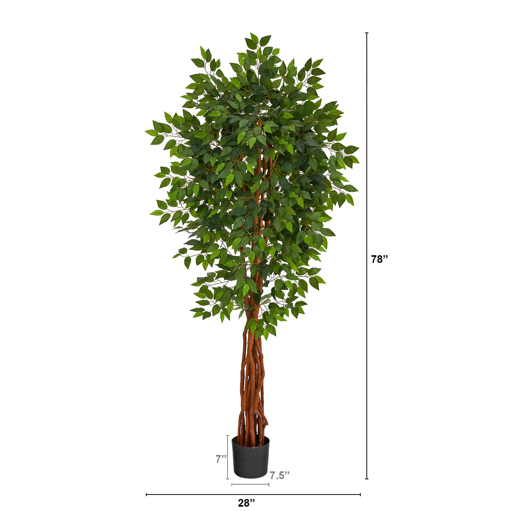 6.5ft. Potted Super Deluxe Ficus Tree