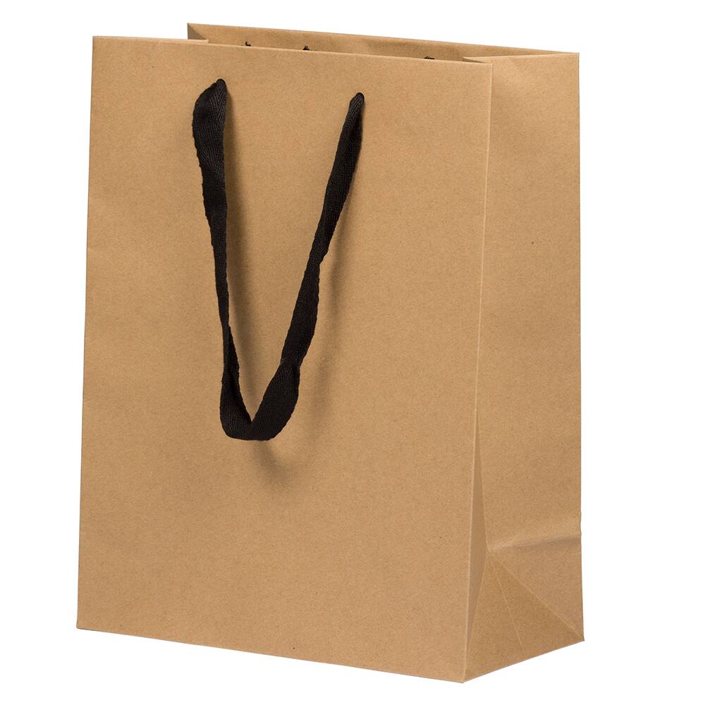 JAM Paper Large Kraft Matte Heavy Duty Gift Bags, 3ct.