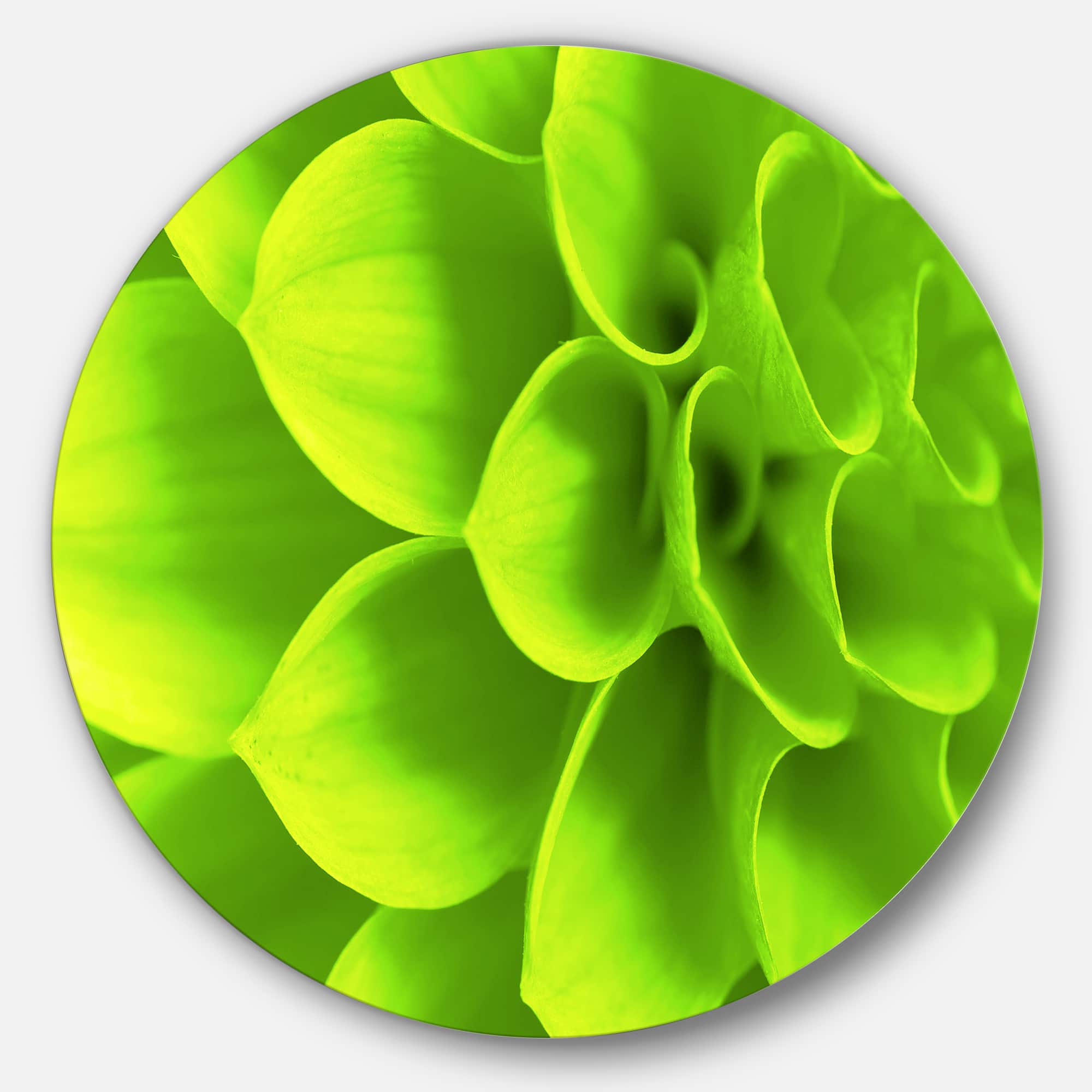 Designart - Bright Green Flower Petals&#x27; Disc Floral Circle Metal Wall Decor