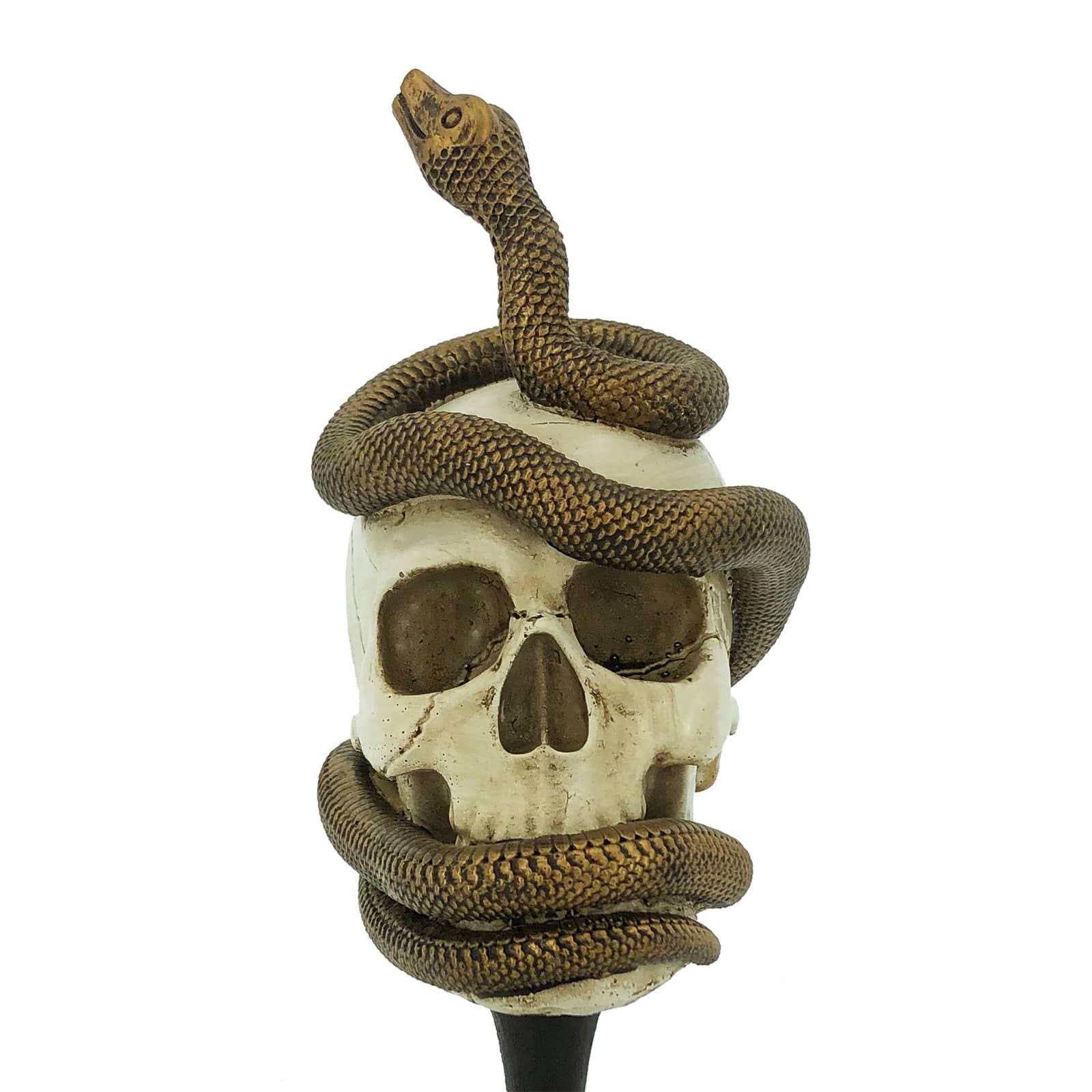 11&#x22; Skull &#x26; Snake Pedestal Decoration by Ashland&#xAE;