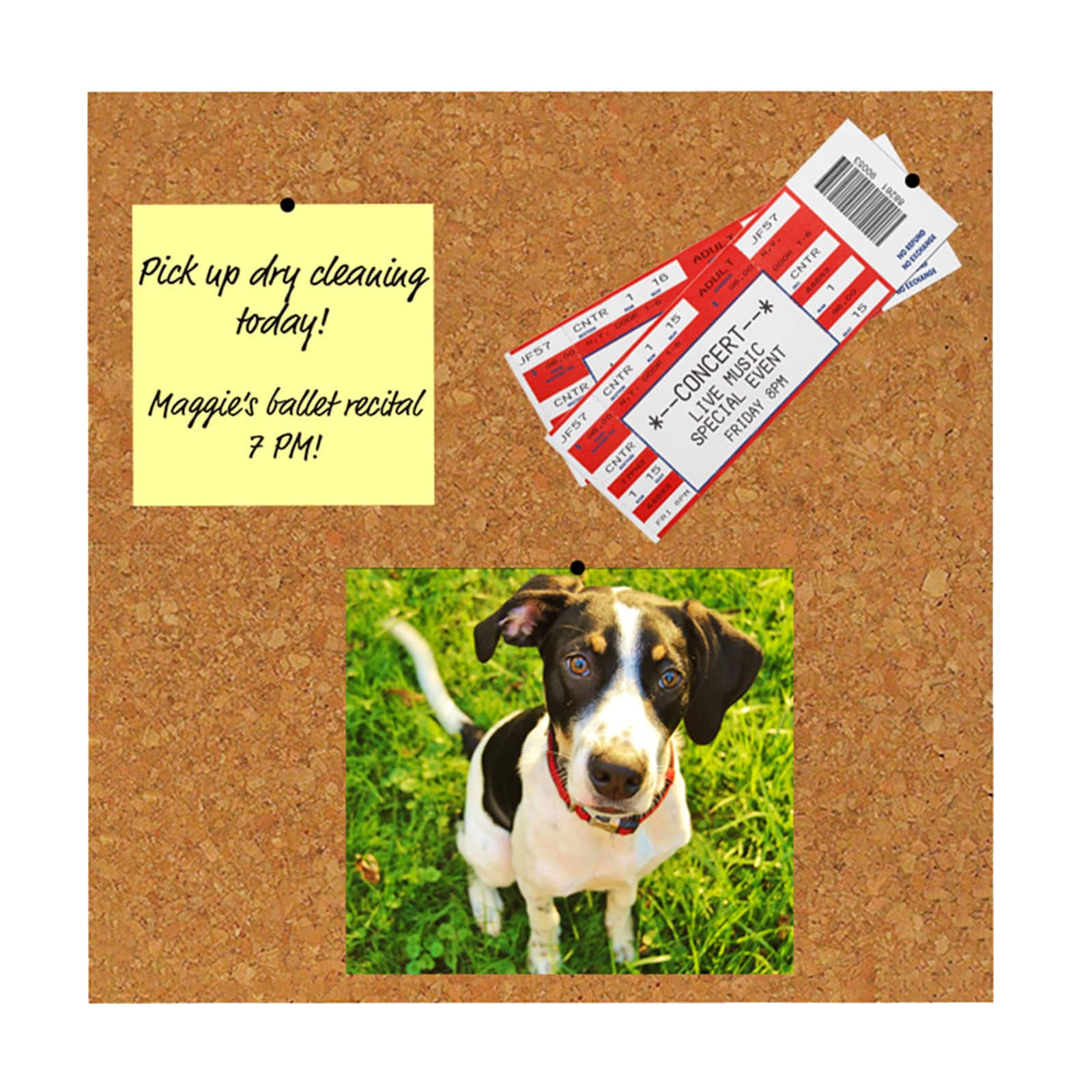 Flipside Products 12" x 12" Natural Cork Tile Pack, 2ct.