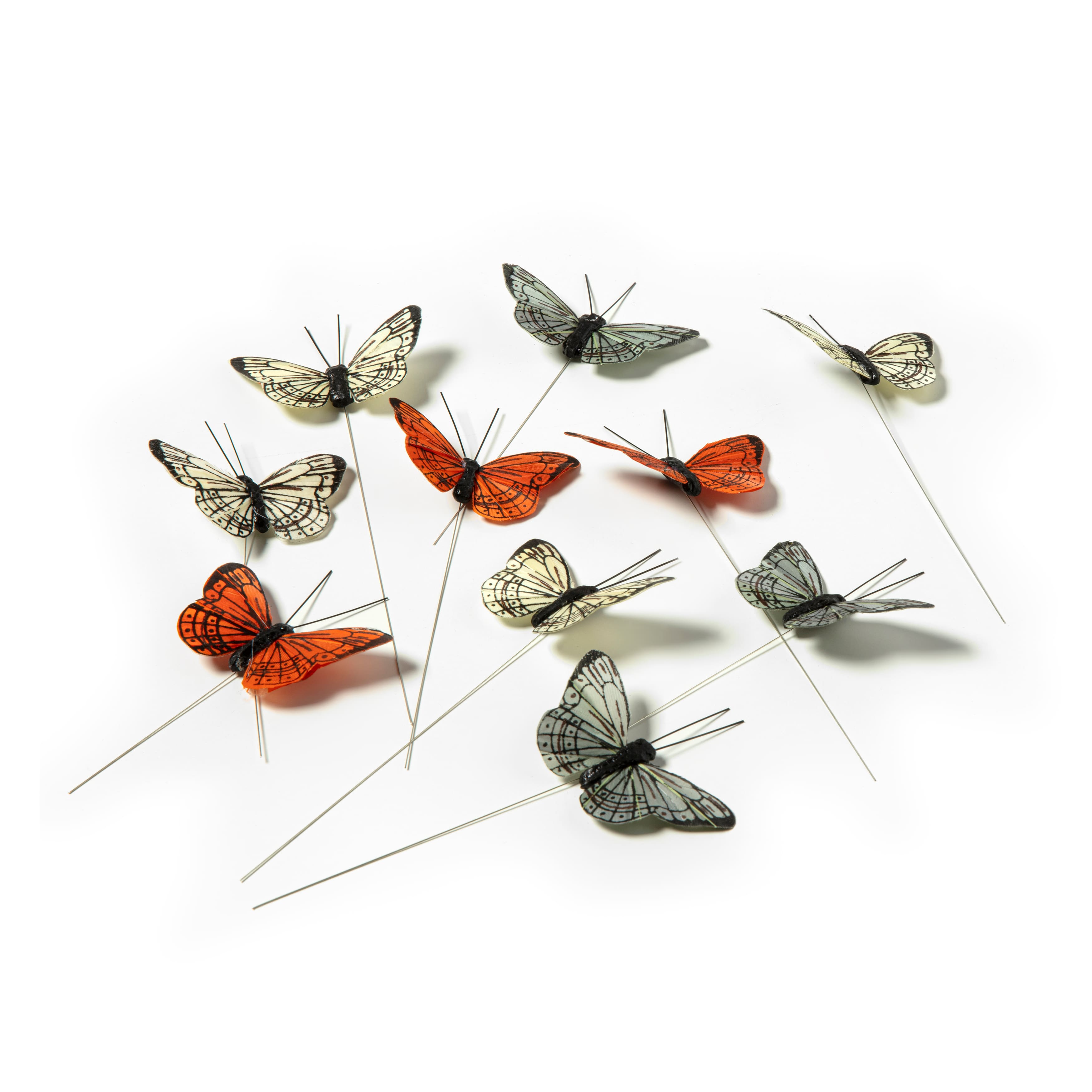 Bright Butterflies by Ashland&#xAE;