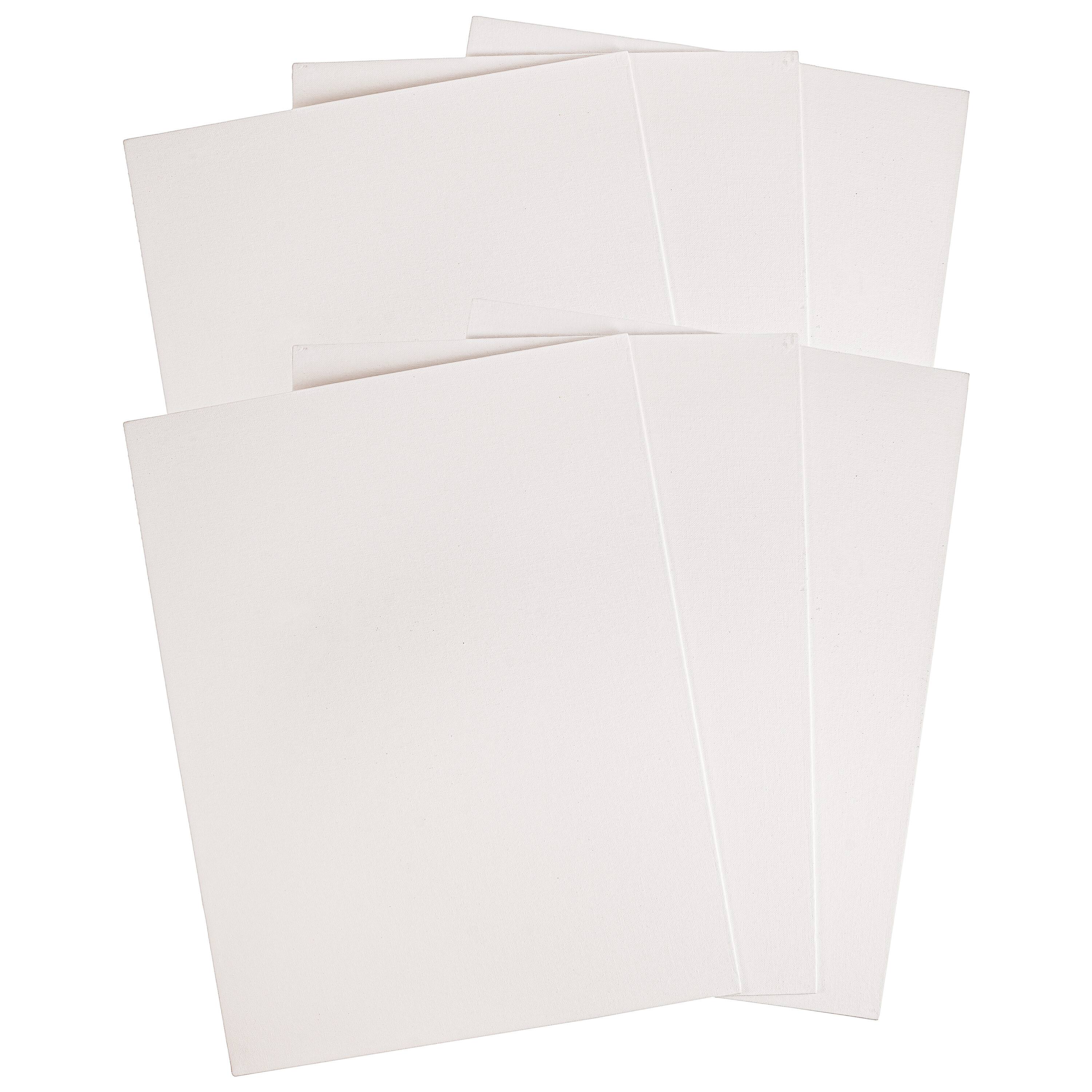 Fredrix Artist Series 6 Pack 20" x 24" Primed Canvas Panels