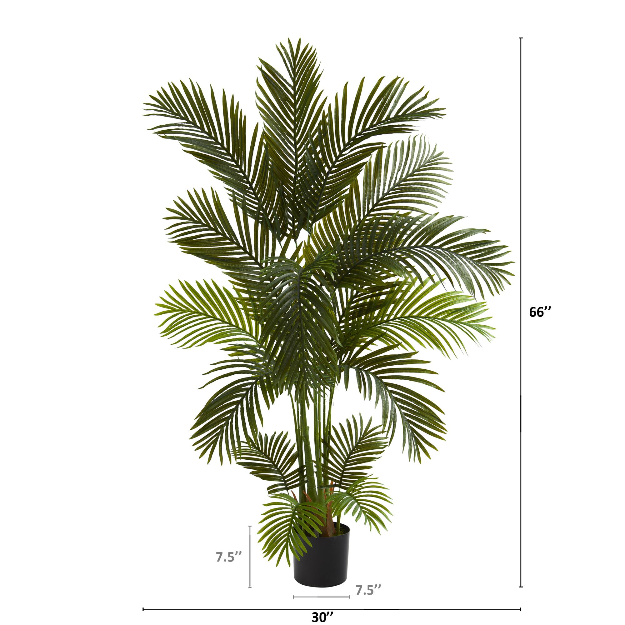 5.5ft. Potted Areca Palm Tree