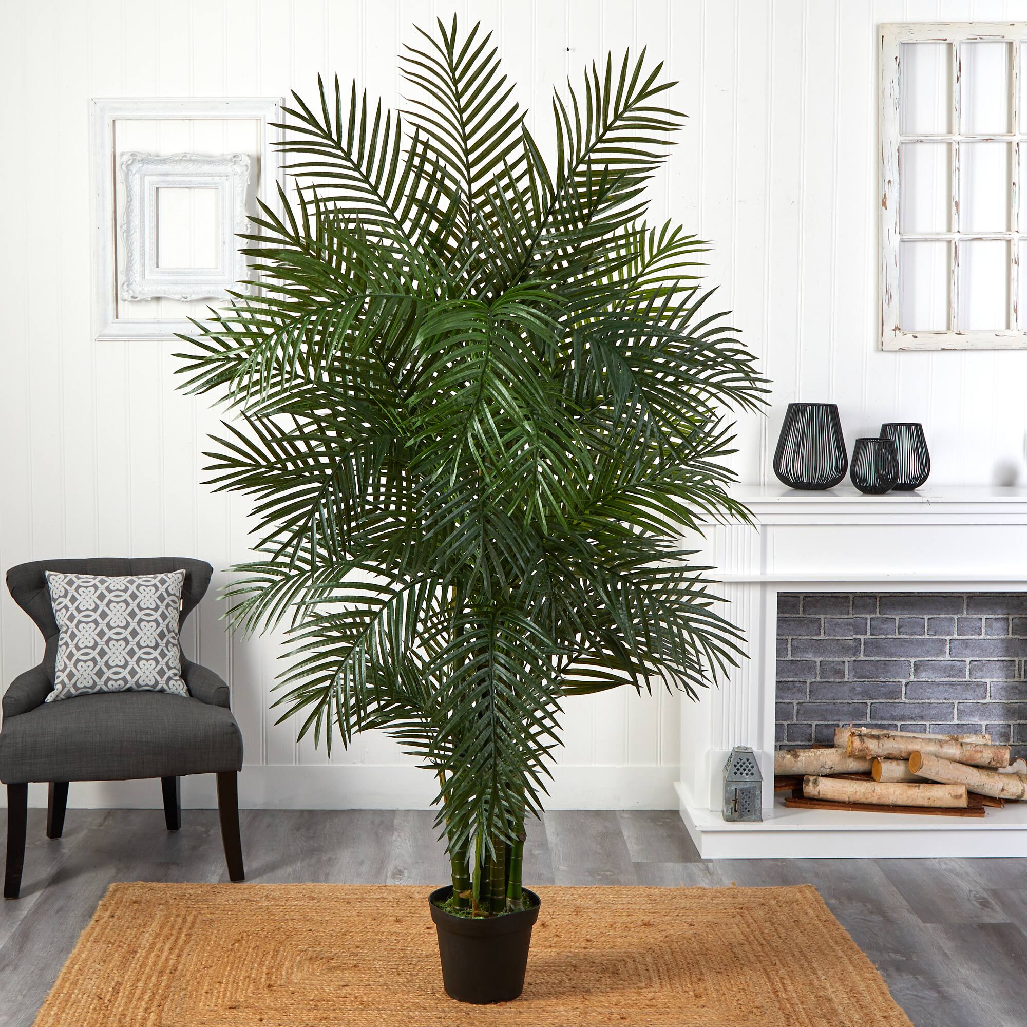 6.5ft. Potted Areca Palm