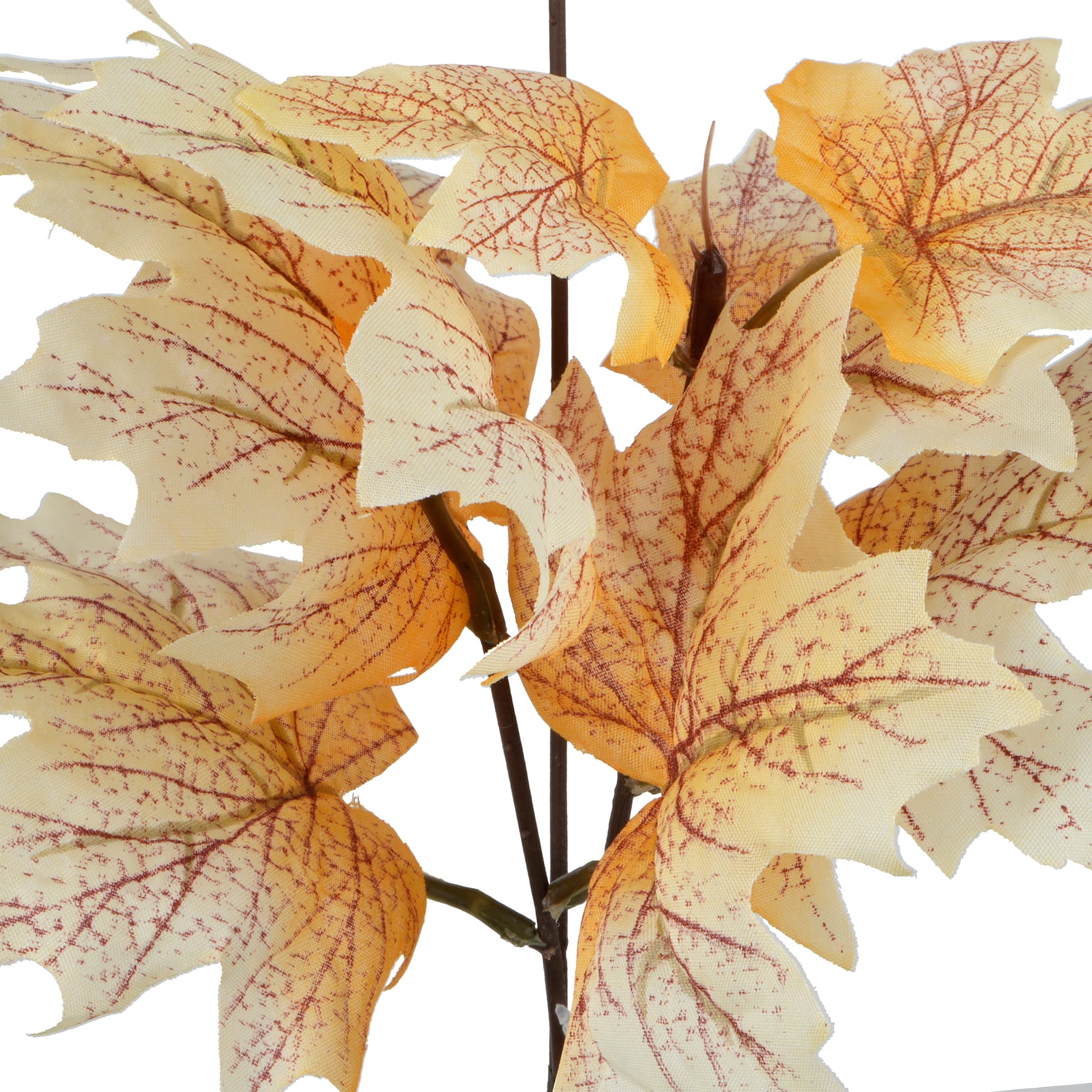 10.5&#x22; Mini Maple Leaf Bundle by Ashland&#xAE;