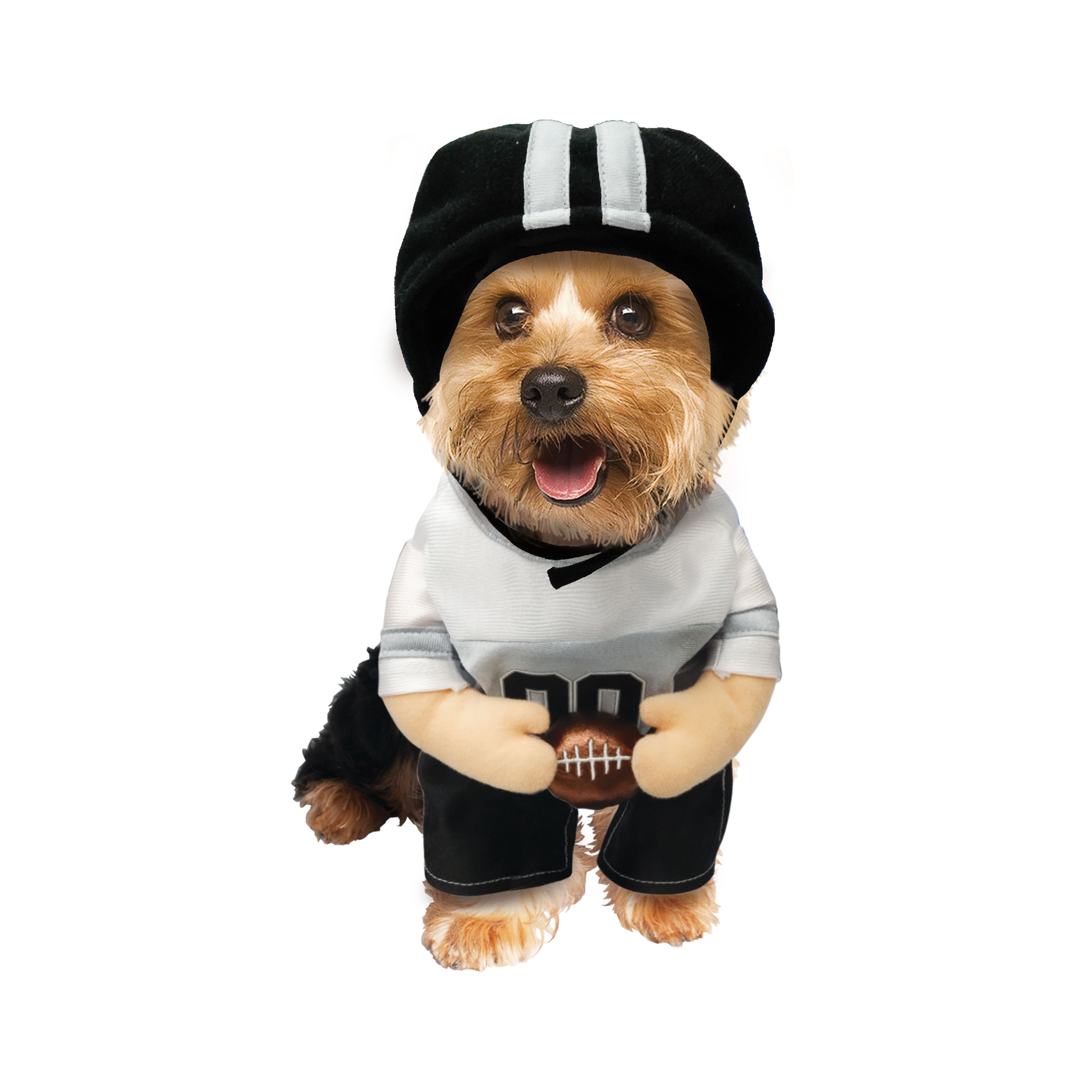 Best Furry Friends Football Player Pet Costume