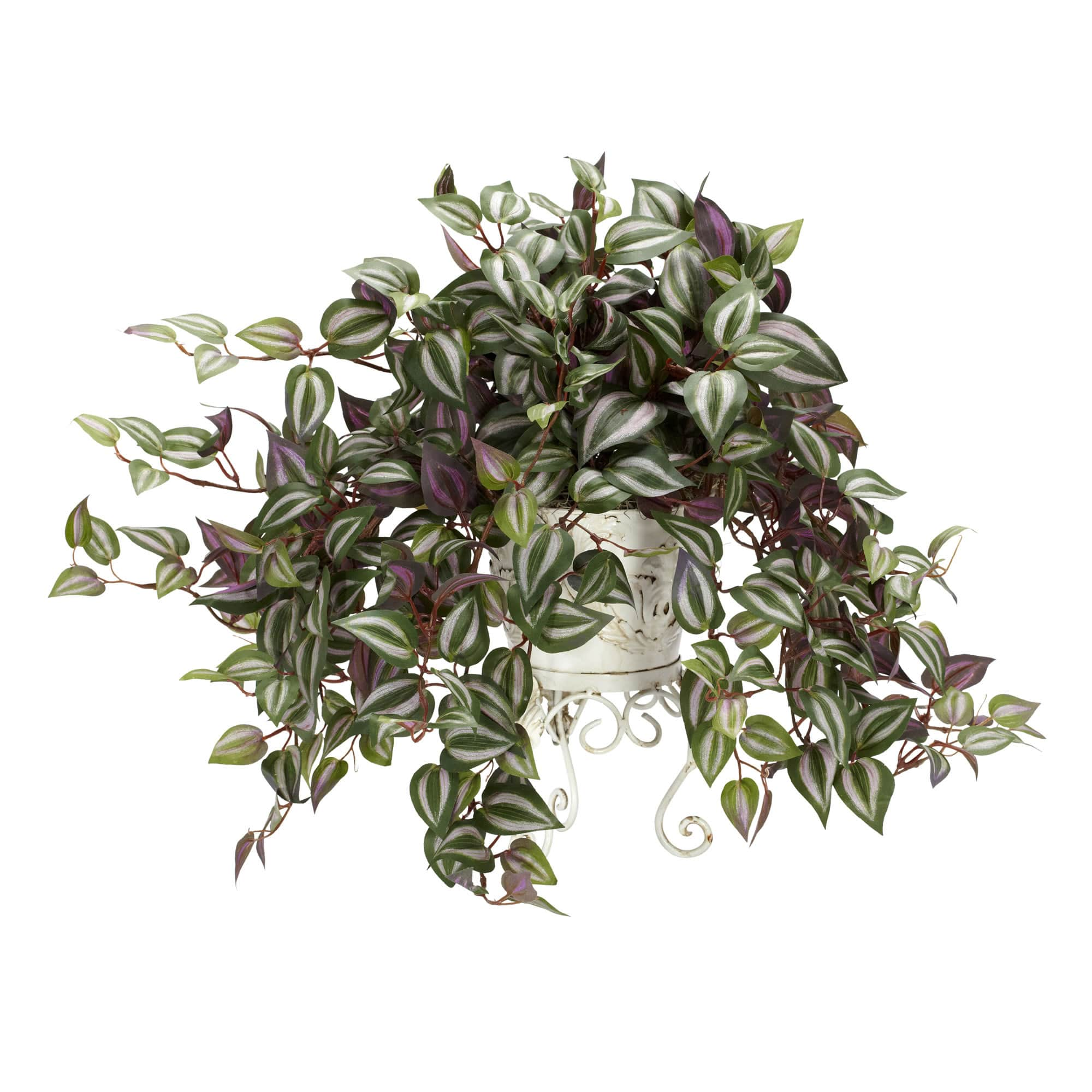 24" Wandering Jew in Metal White Planter