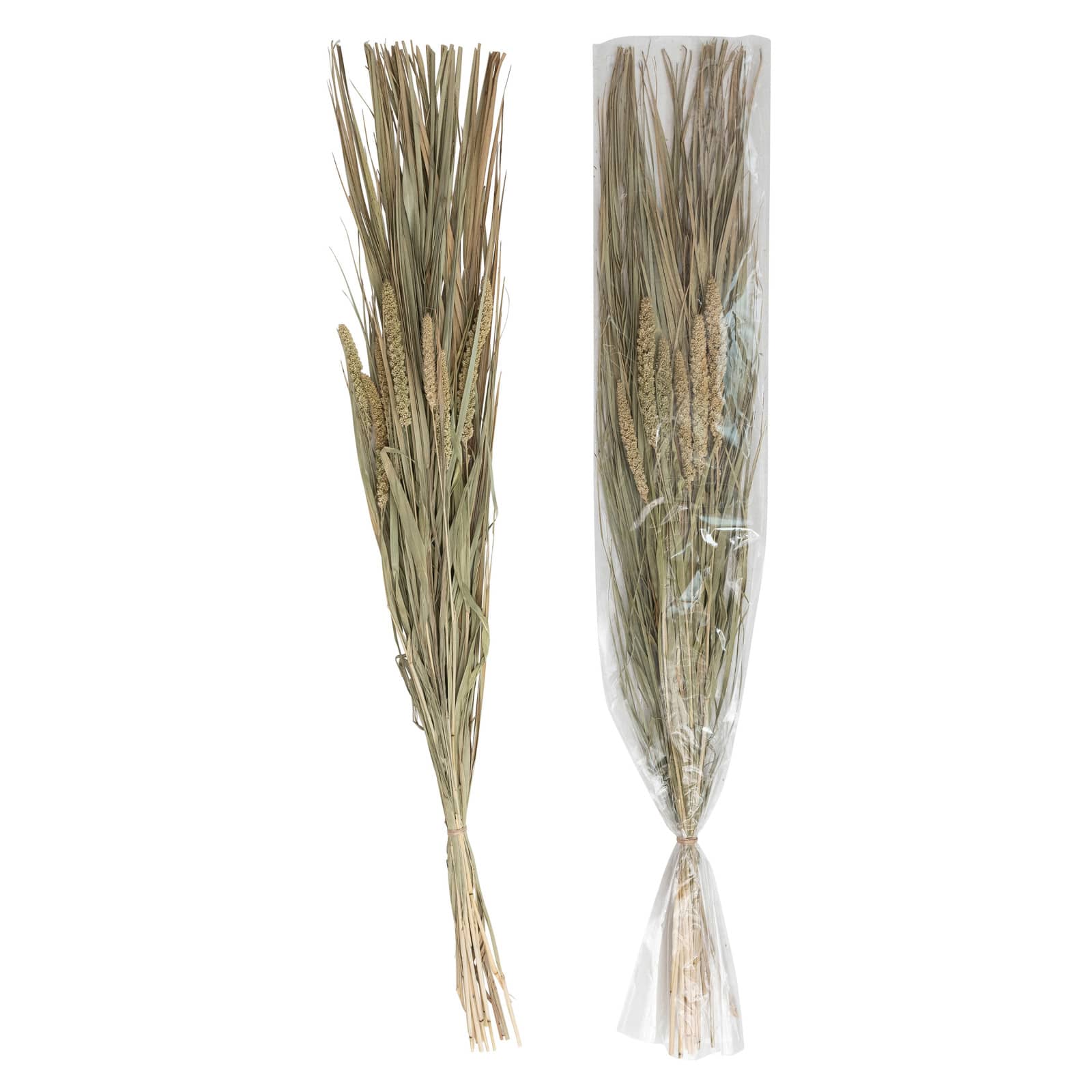 Hello Honey® 38" Dried Natural Canary Grass & Date Palm Bunch