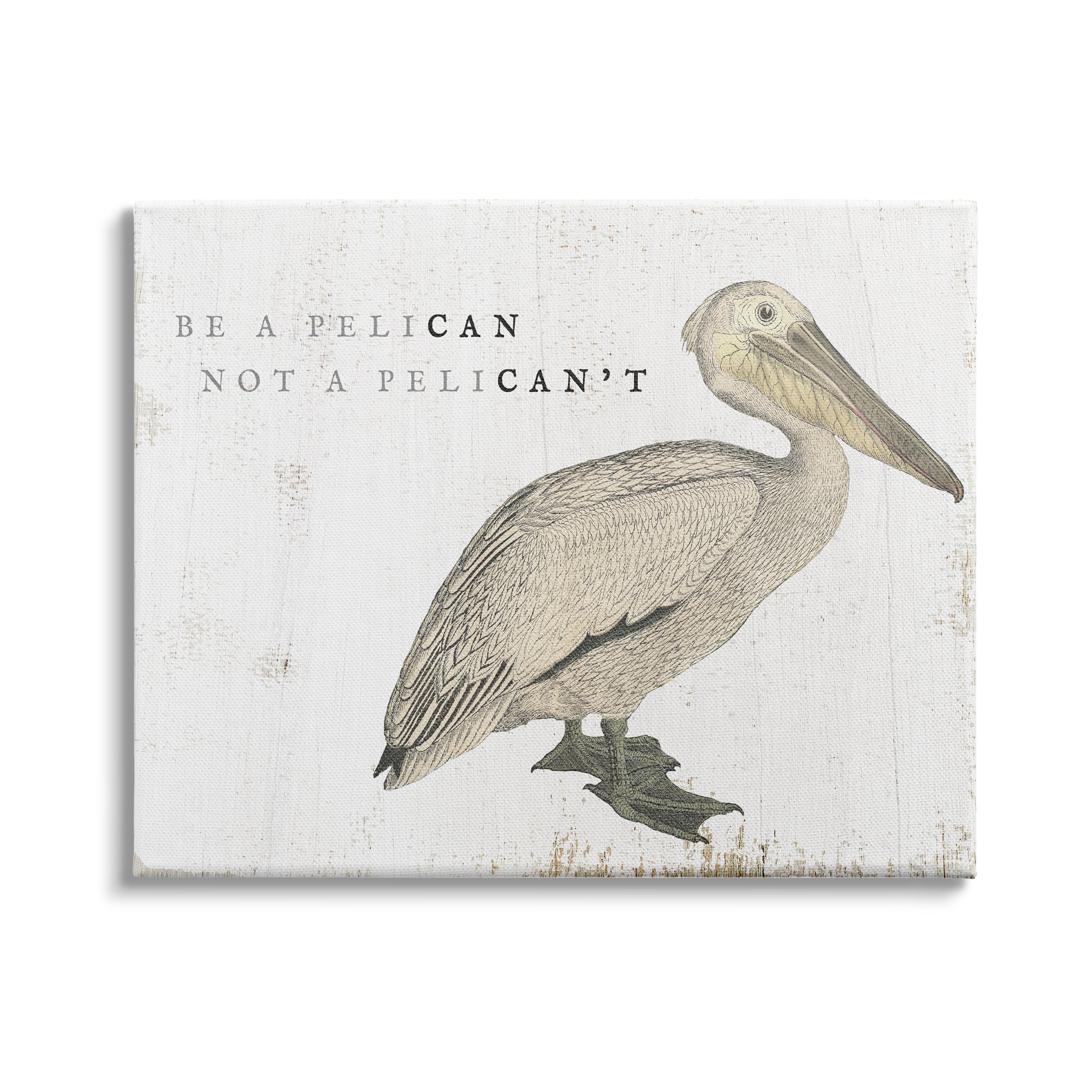Stupell Industries Be Pelican not Pelican't Funny Beach Phrase Pun Canvas Wall Art