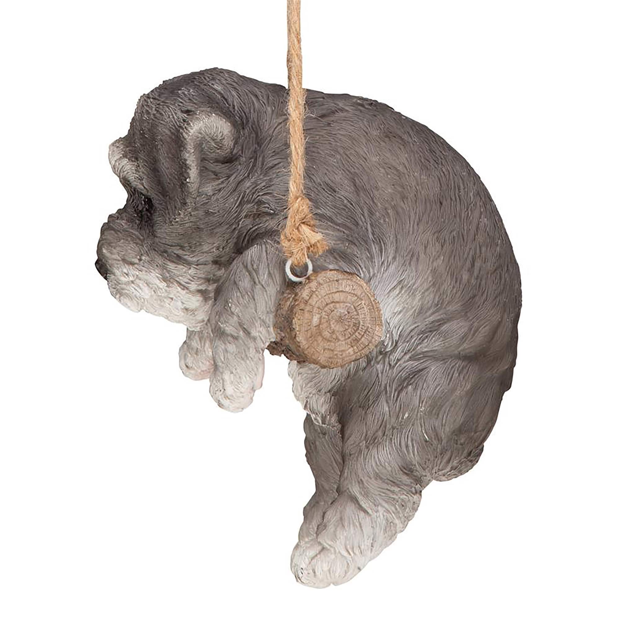 Design Toscano 8&#x22; Mini Schnauzer Puppy on a Perch Hanging Dog Sculpture