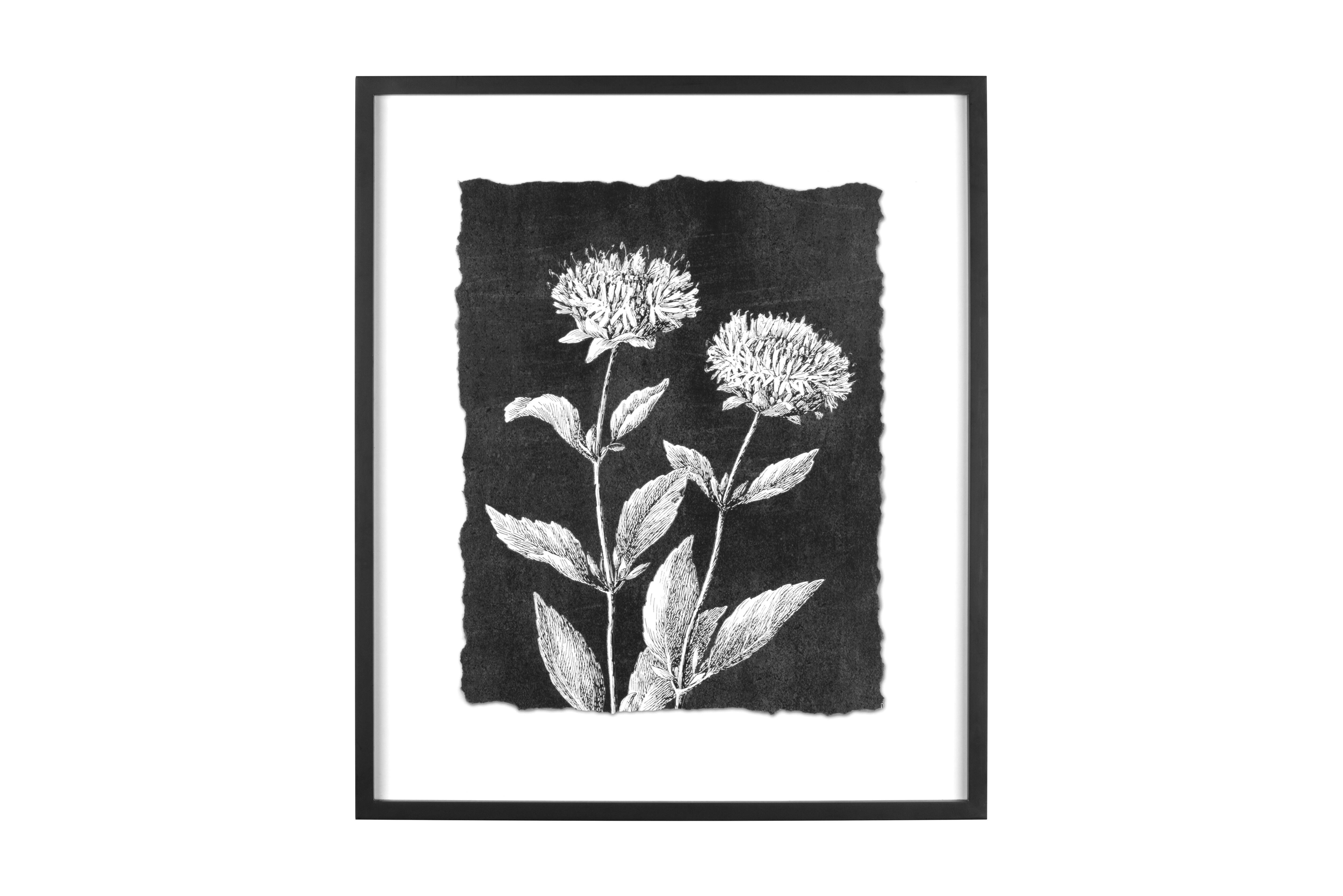 Hello Honey® Black and White Botanical Print Wall Décor with Glass and Wood Frame Set