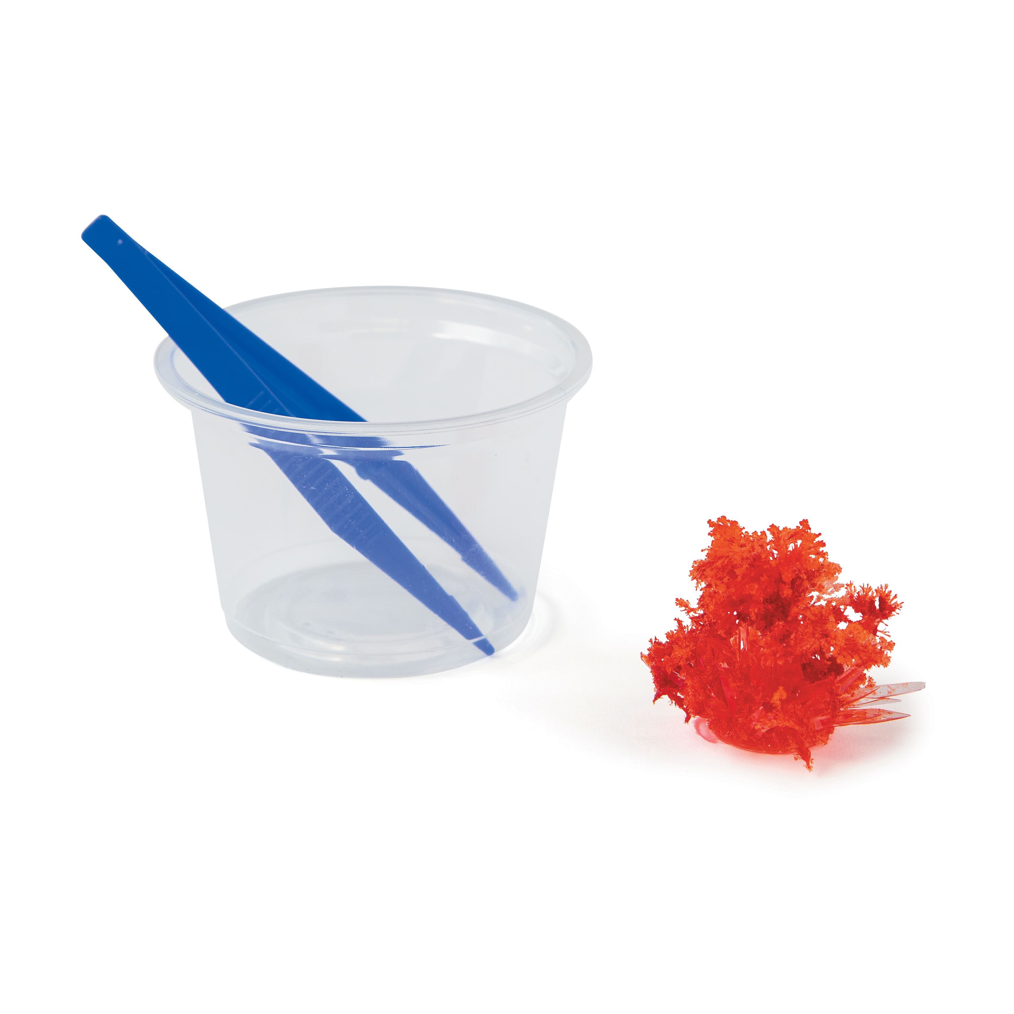 MindWare&#xAE; 12 Days of Crystal Science