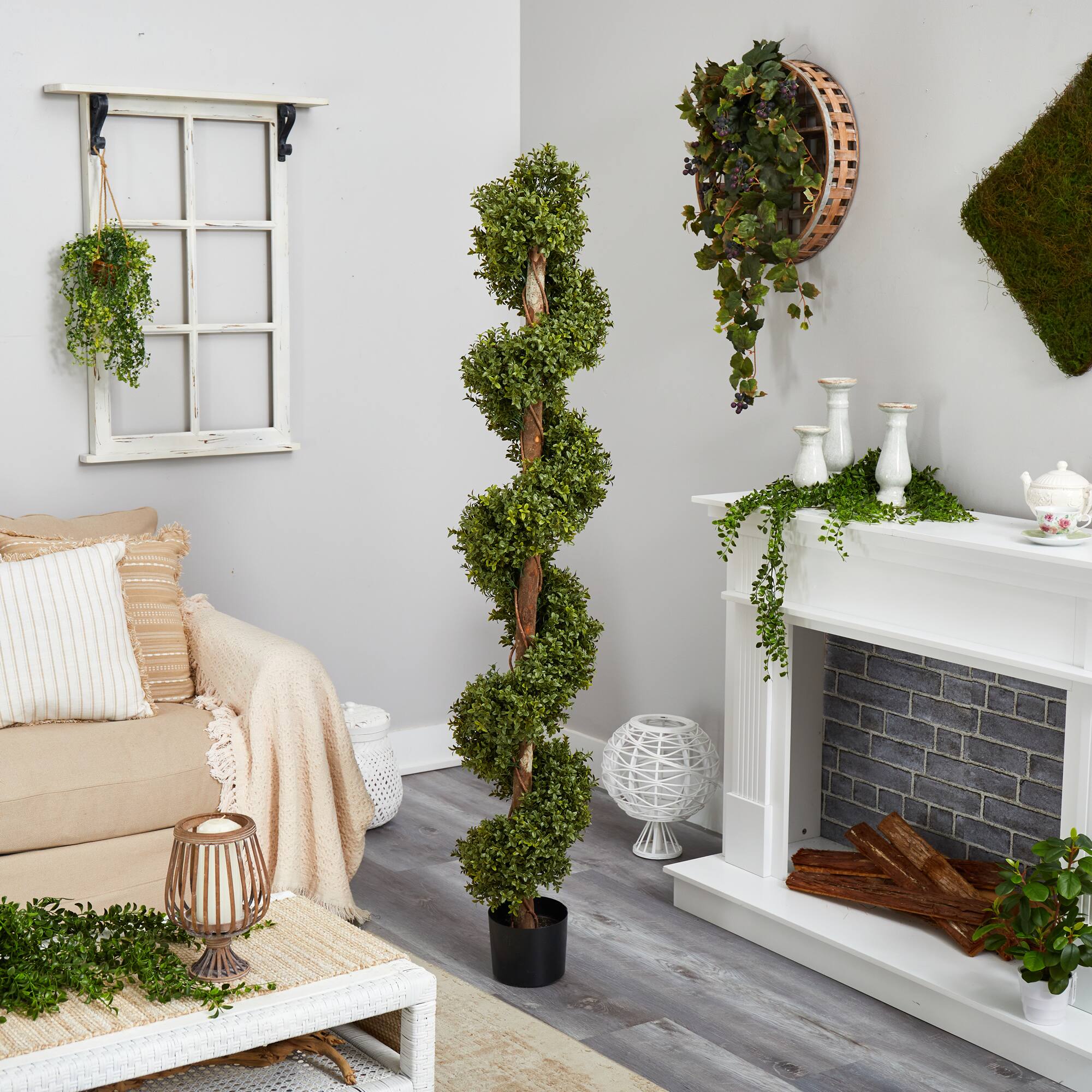 6ft. Potted Spiral Boxwood Topiary Tree