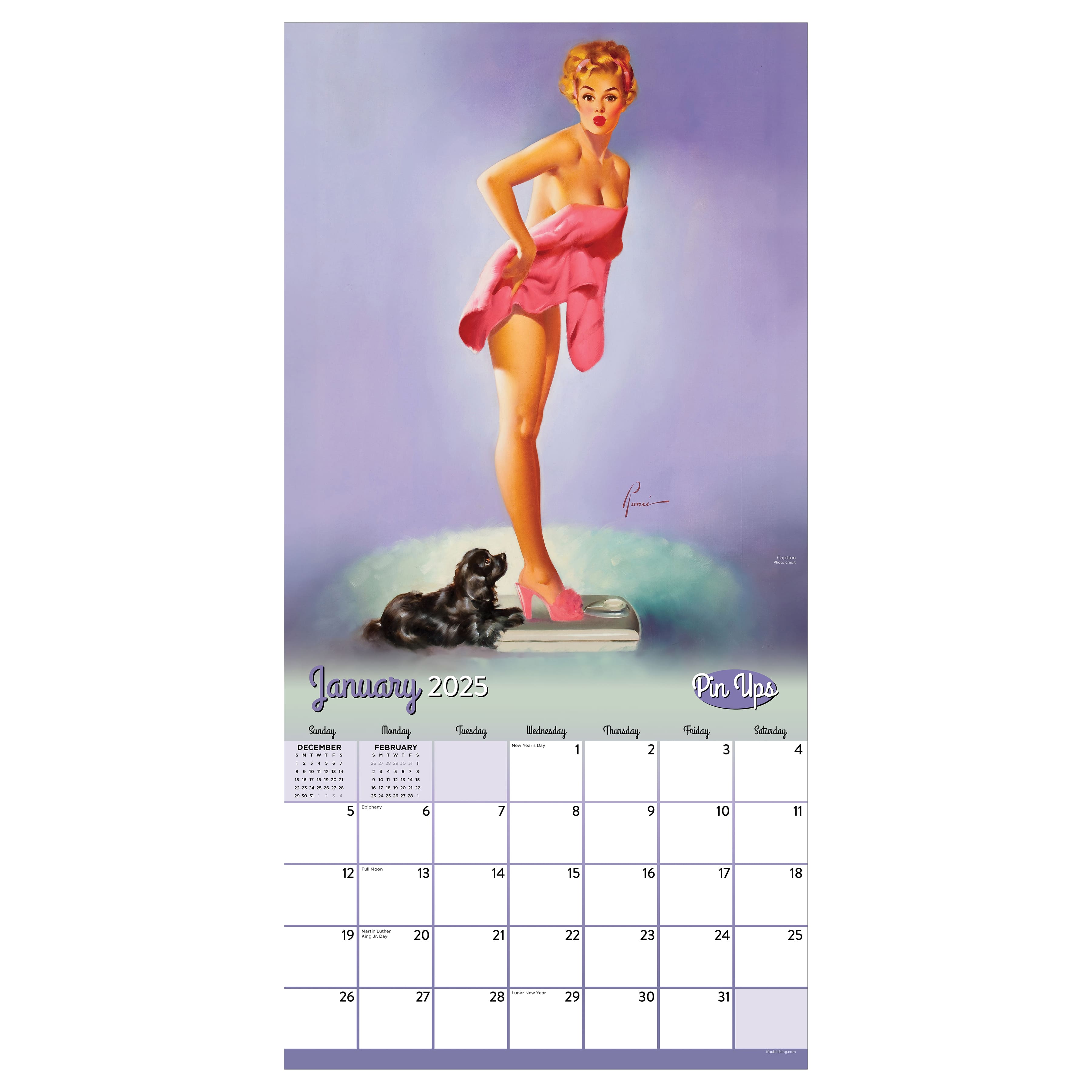 TF Publishing 2025 Pin Ups Wall Calendar
