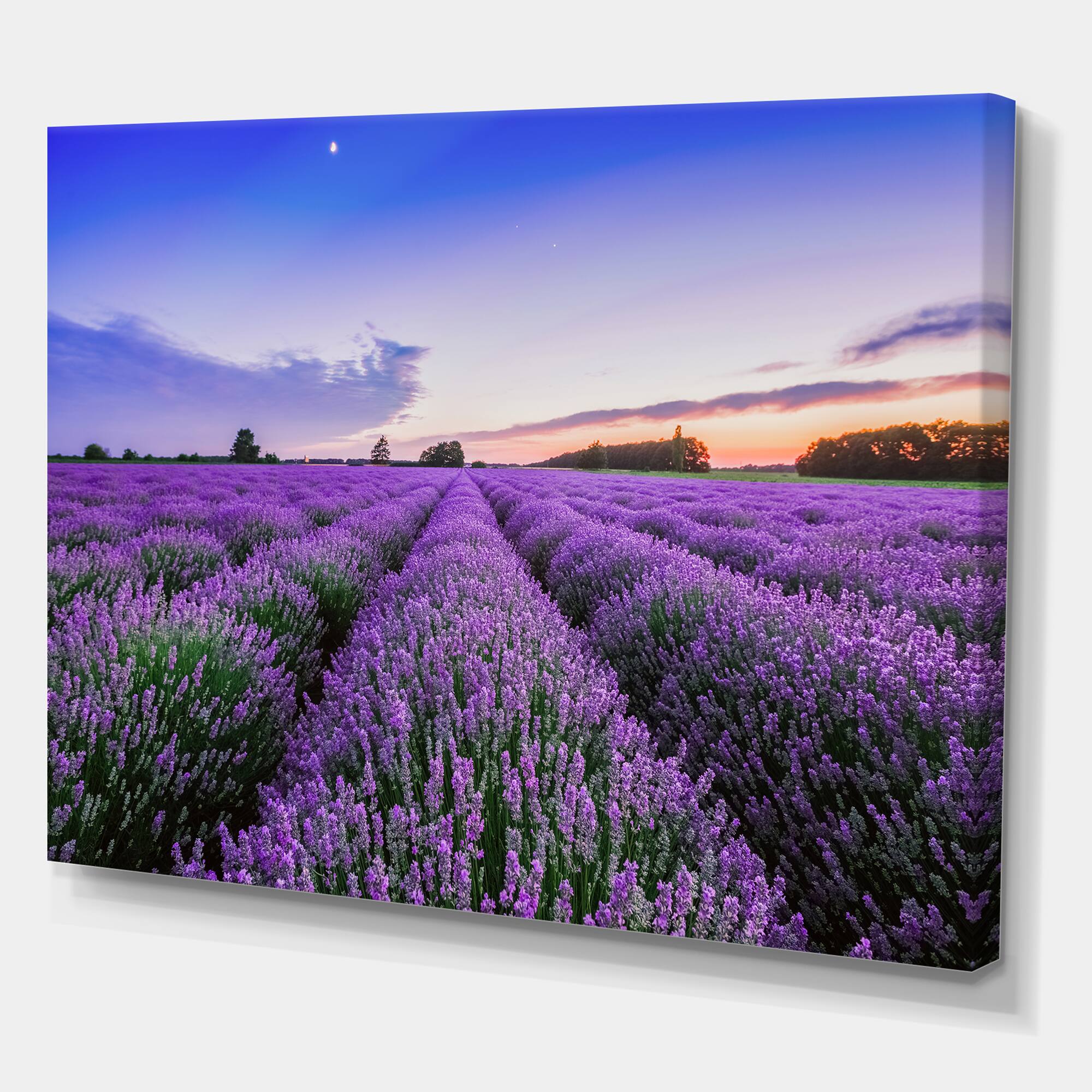 Designart - Sunrise & Dramatic Clouds Over Lavender Field II - Farmhouse Canvas Wall Art Print in Blue | 40" x 30" | Michaels®