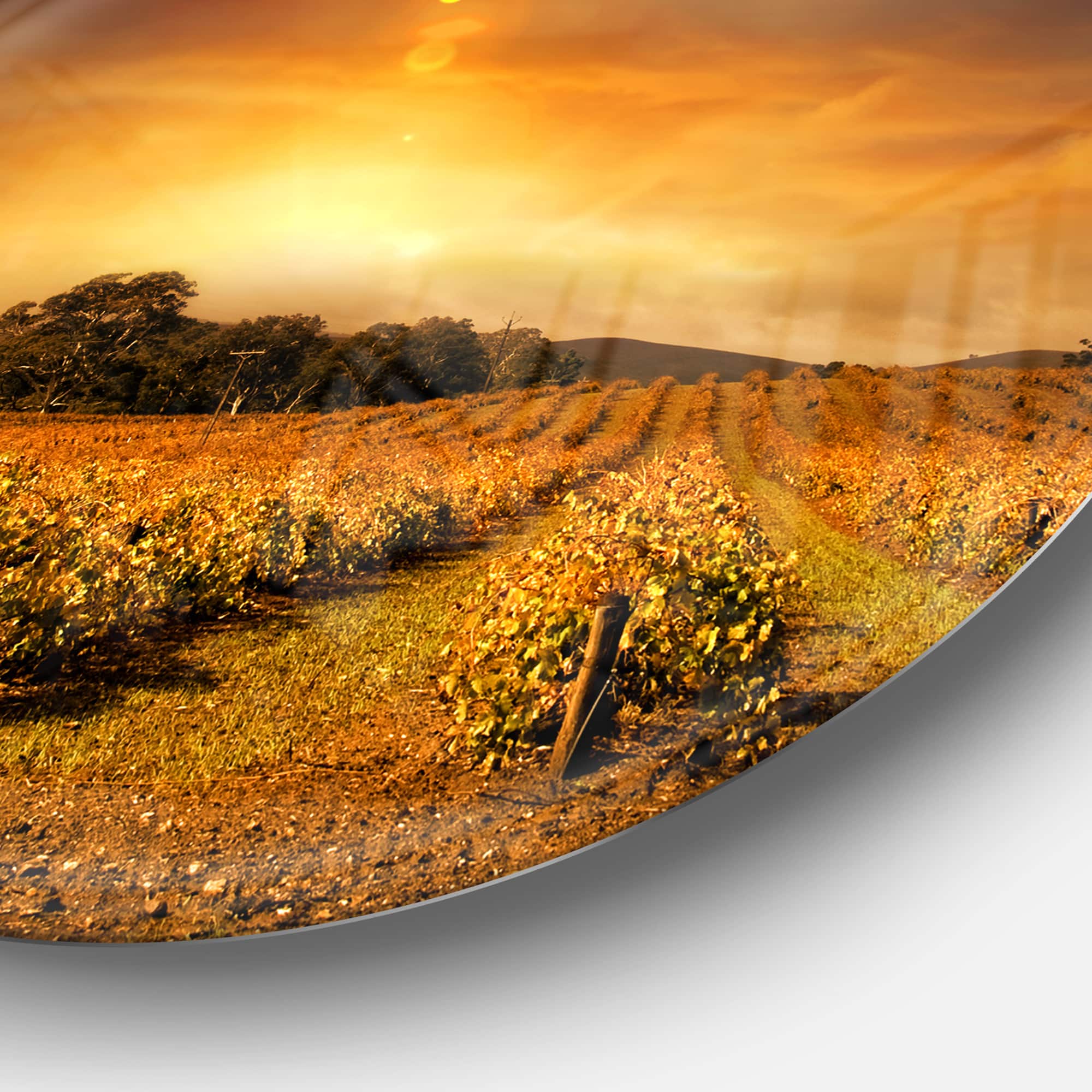 Designart - Yellow Autumn Vineyard Sunset' Landscape Metal Circle Wall Art