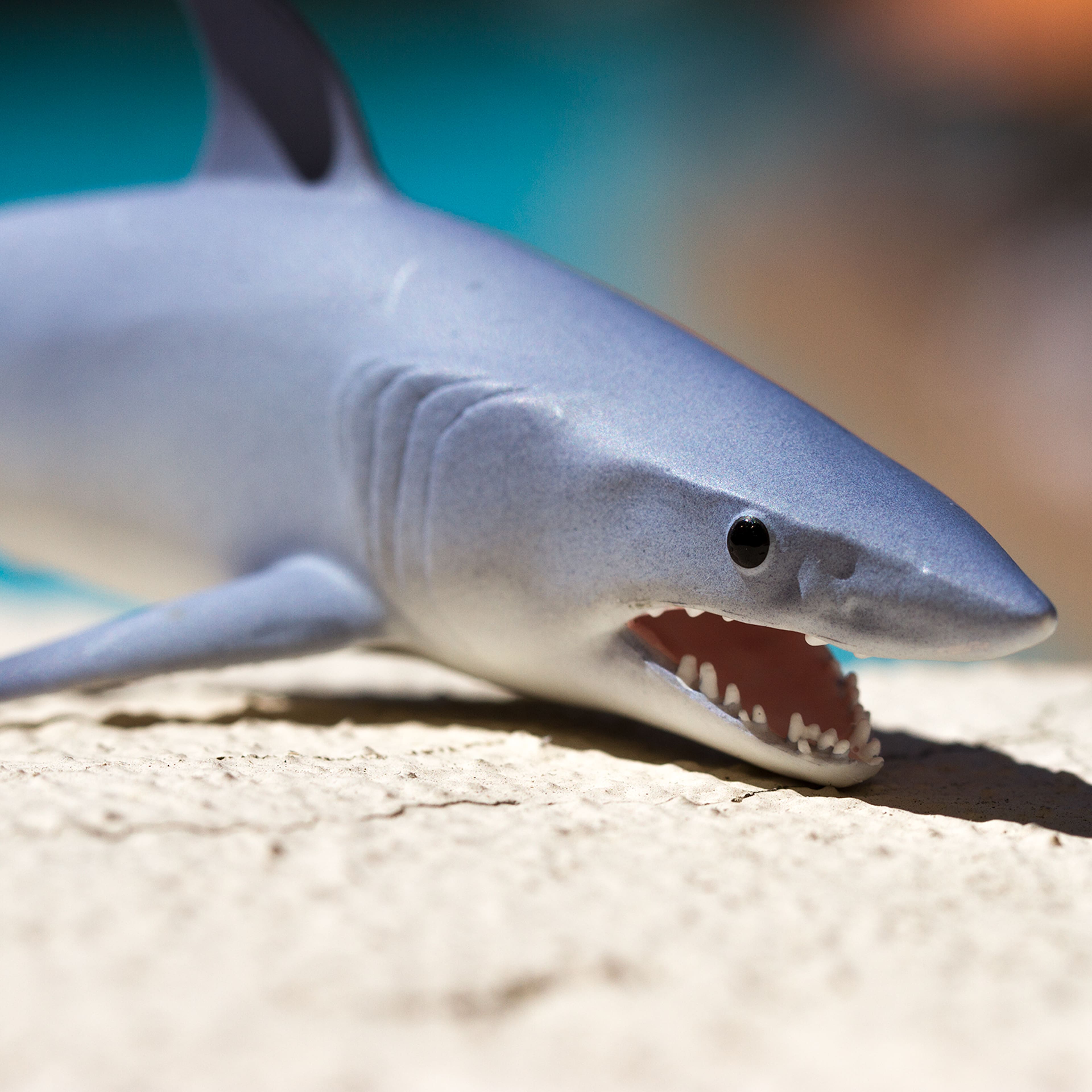Safari Ltd® Mako Shark