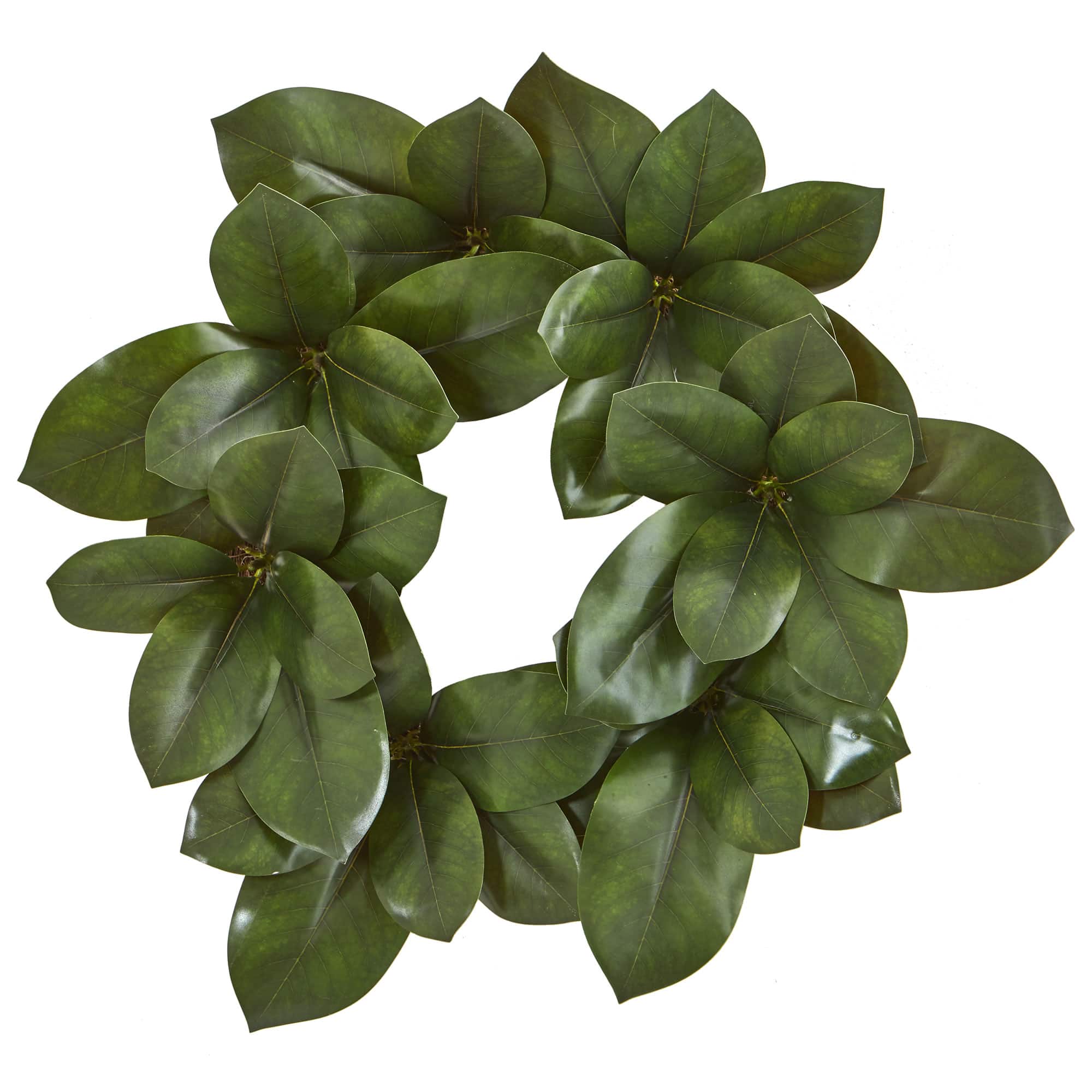 22&#x201D; Magnolia Leaf Wreath