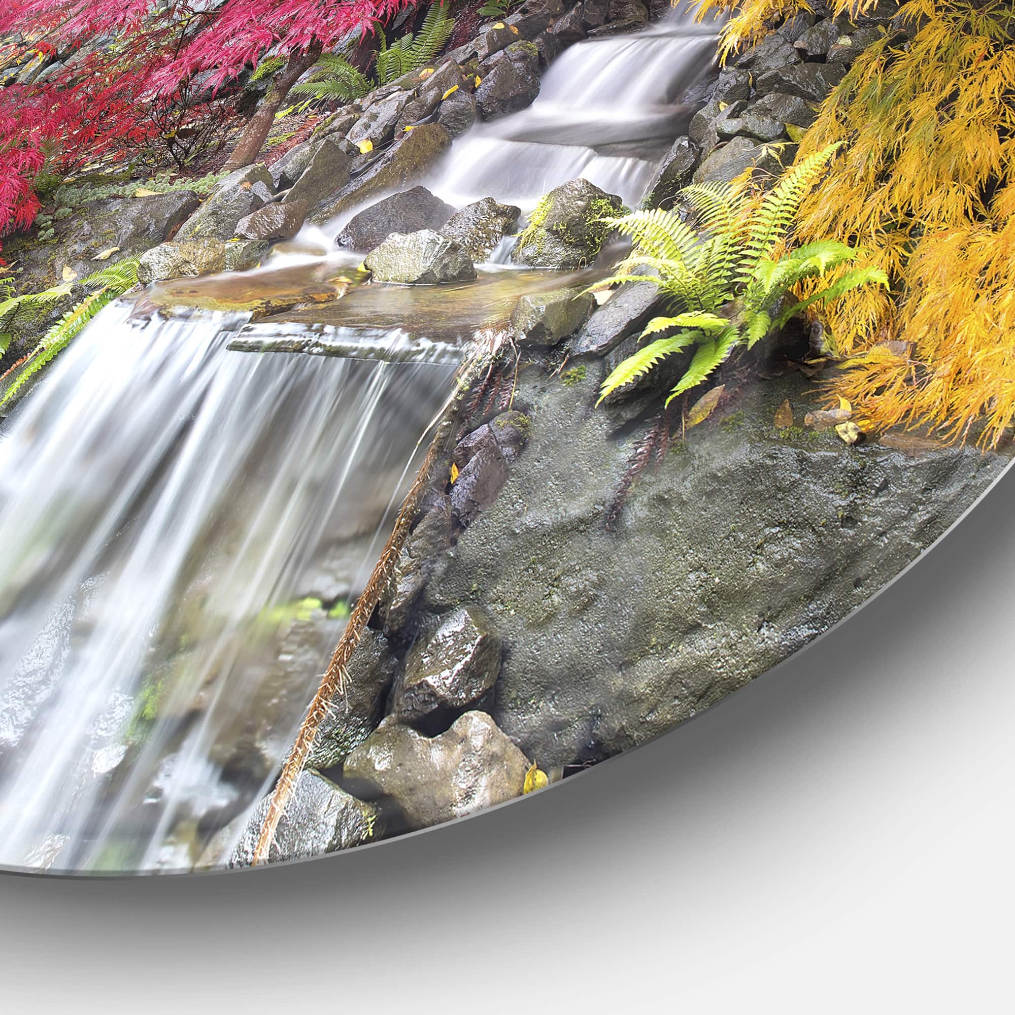 Designart - Japanese Maple Trees&#x27; Disc Floral Photography Circle Metal Wall Art