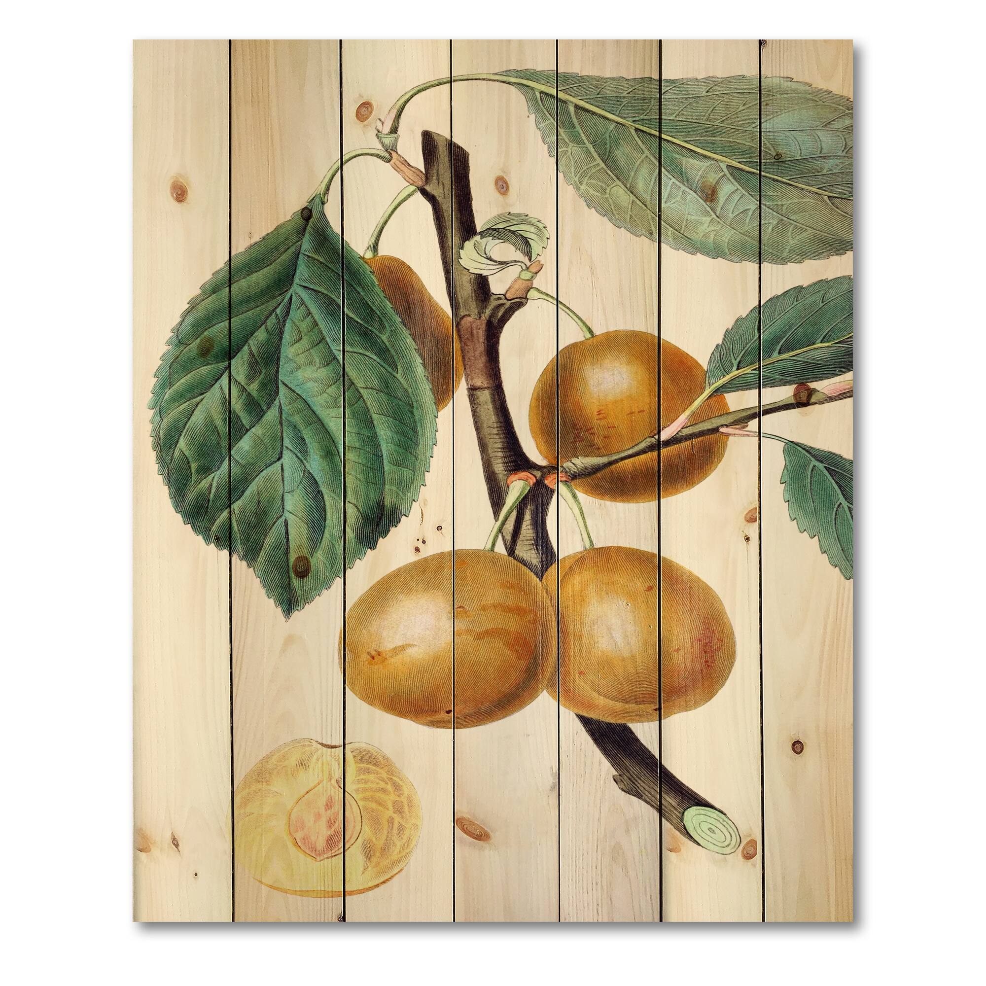 Designart - Vintage Fruits II - Farmhouse Print on Natural Pine Wood