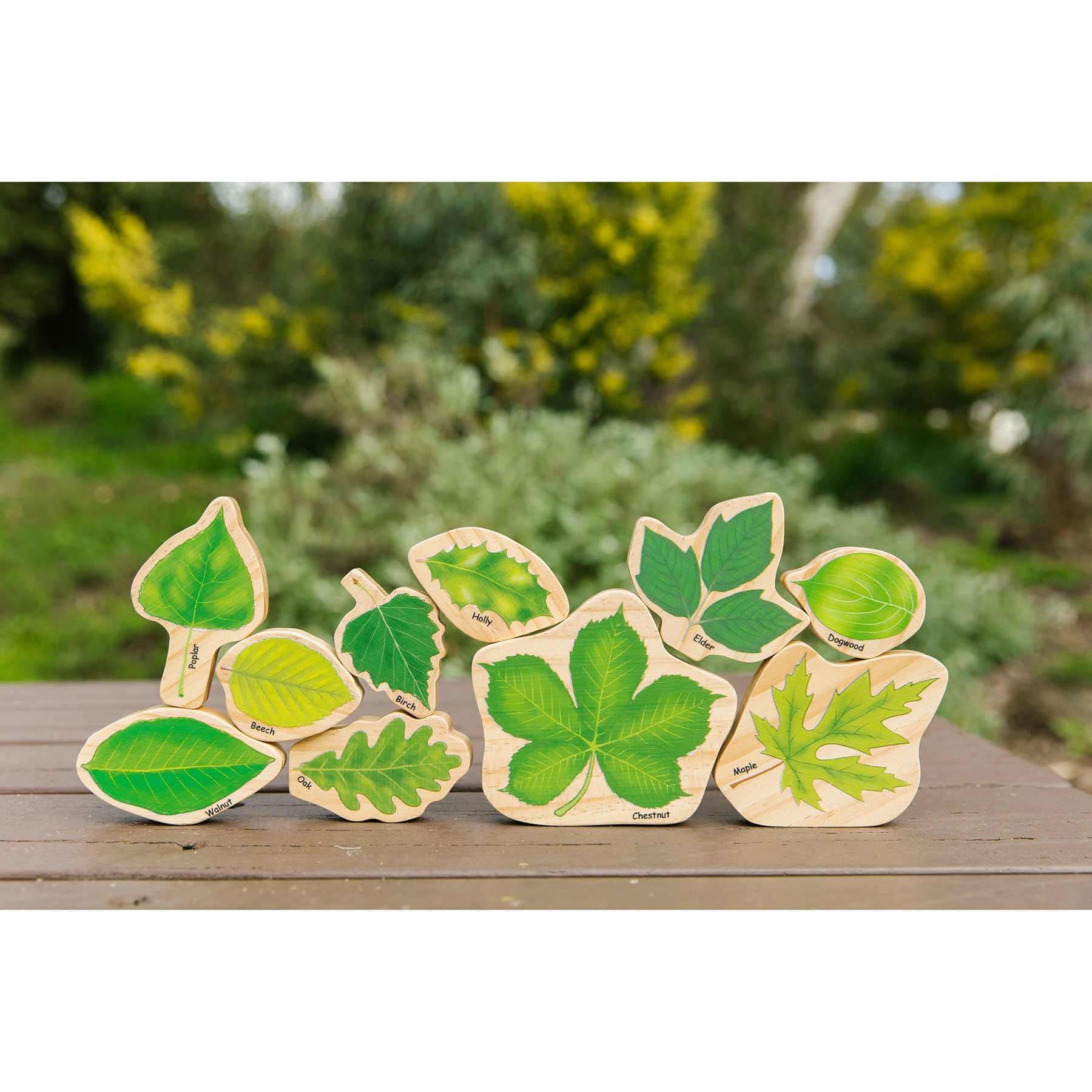 The Freckled Frog Seasons Double-Sided Leaves Play Set