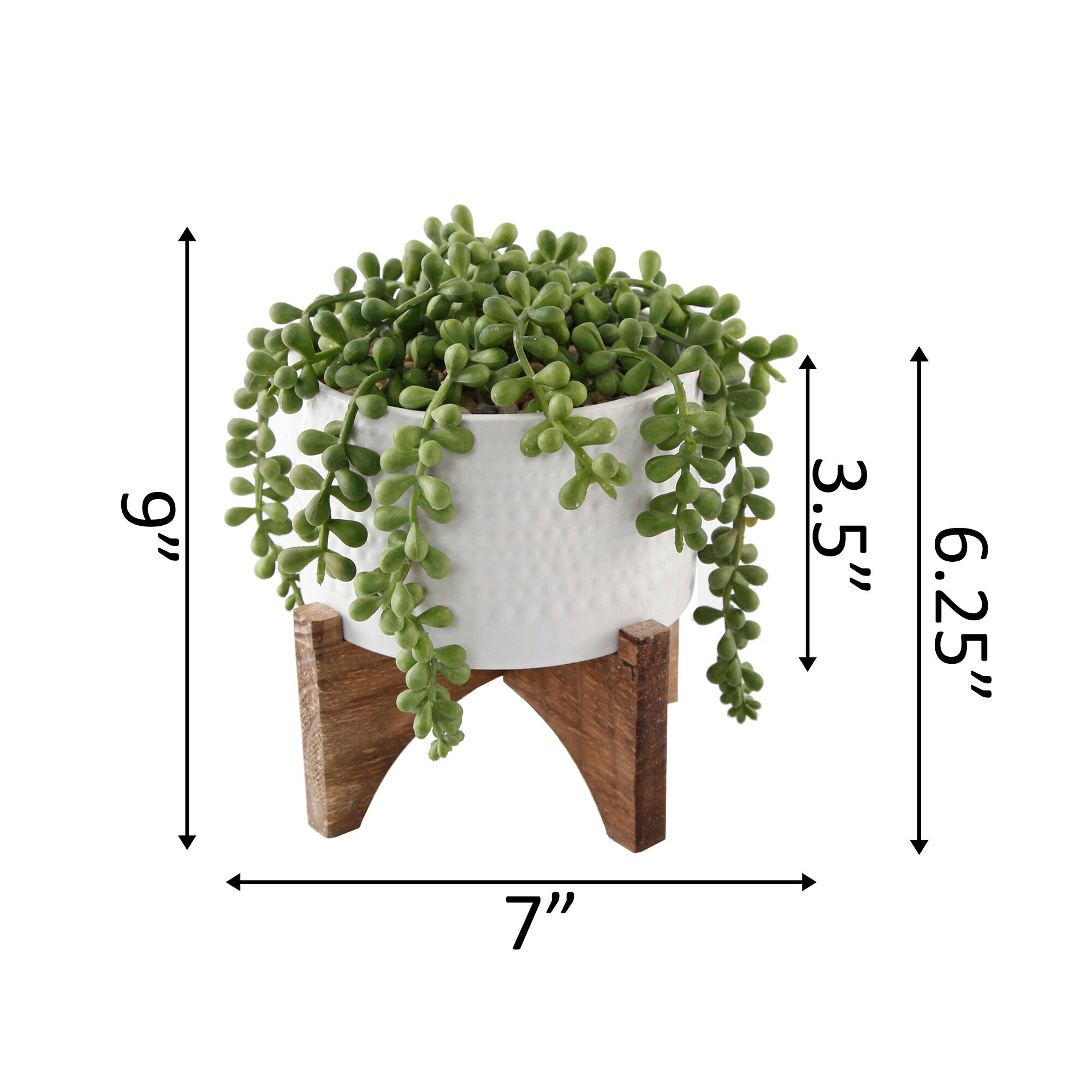 Flora Bunda&#xAE; 5&#x22; String Of Pearl In Hobnail Ceramic Planter On Stand