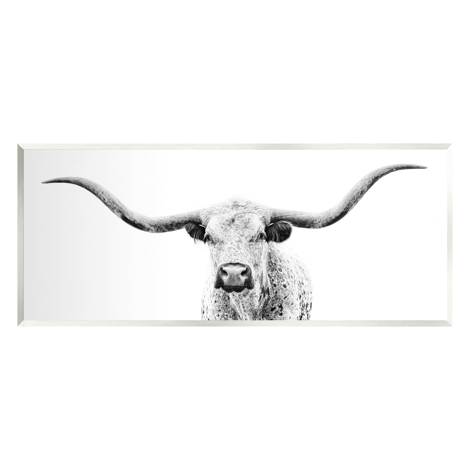 Stupell Industries Longhorn Cattle Photography Wall Art