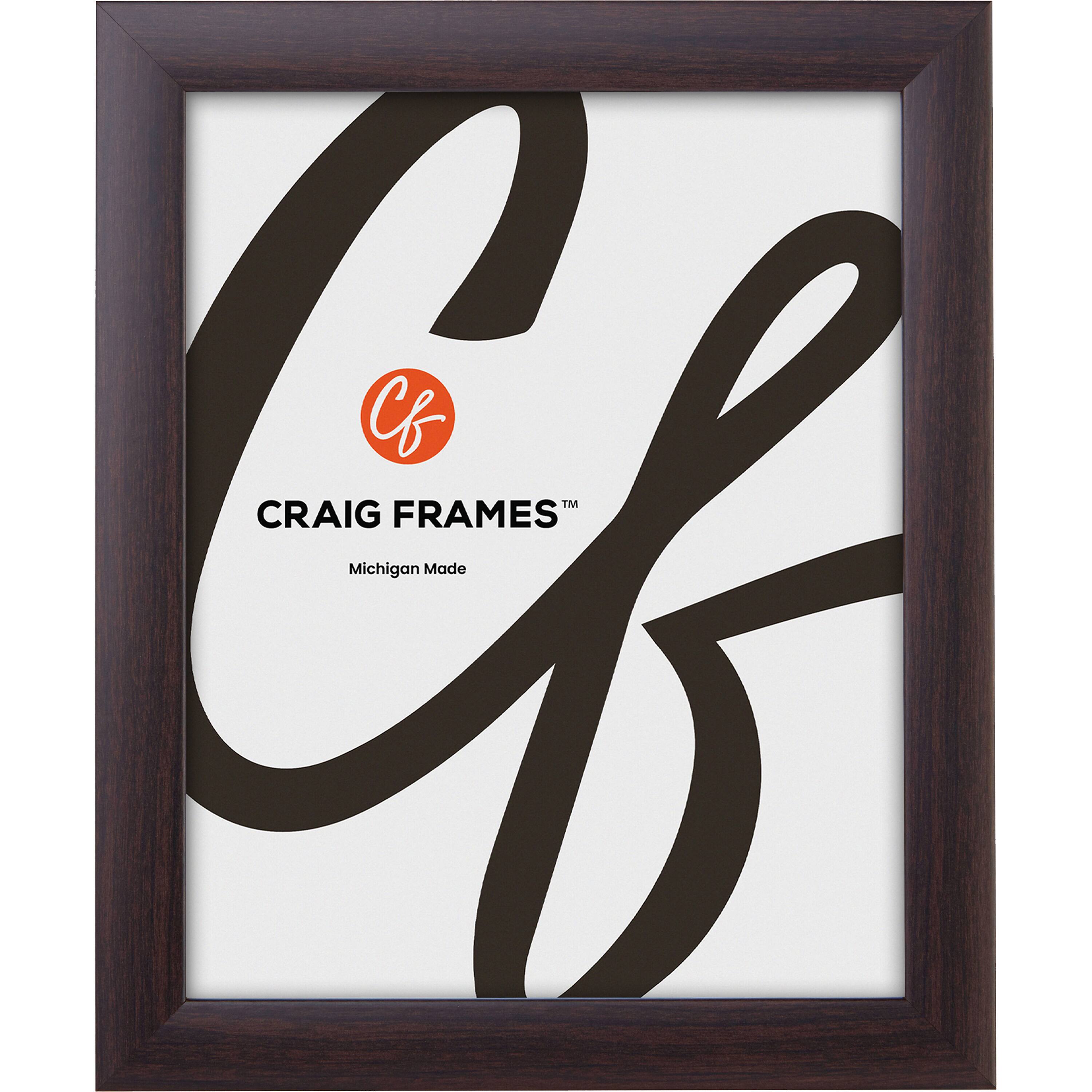 Craig Frames 4 Pack Contemporary Brazilian Walnut Picture Frame
