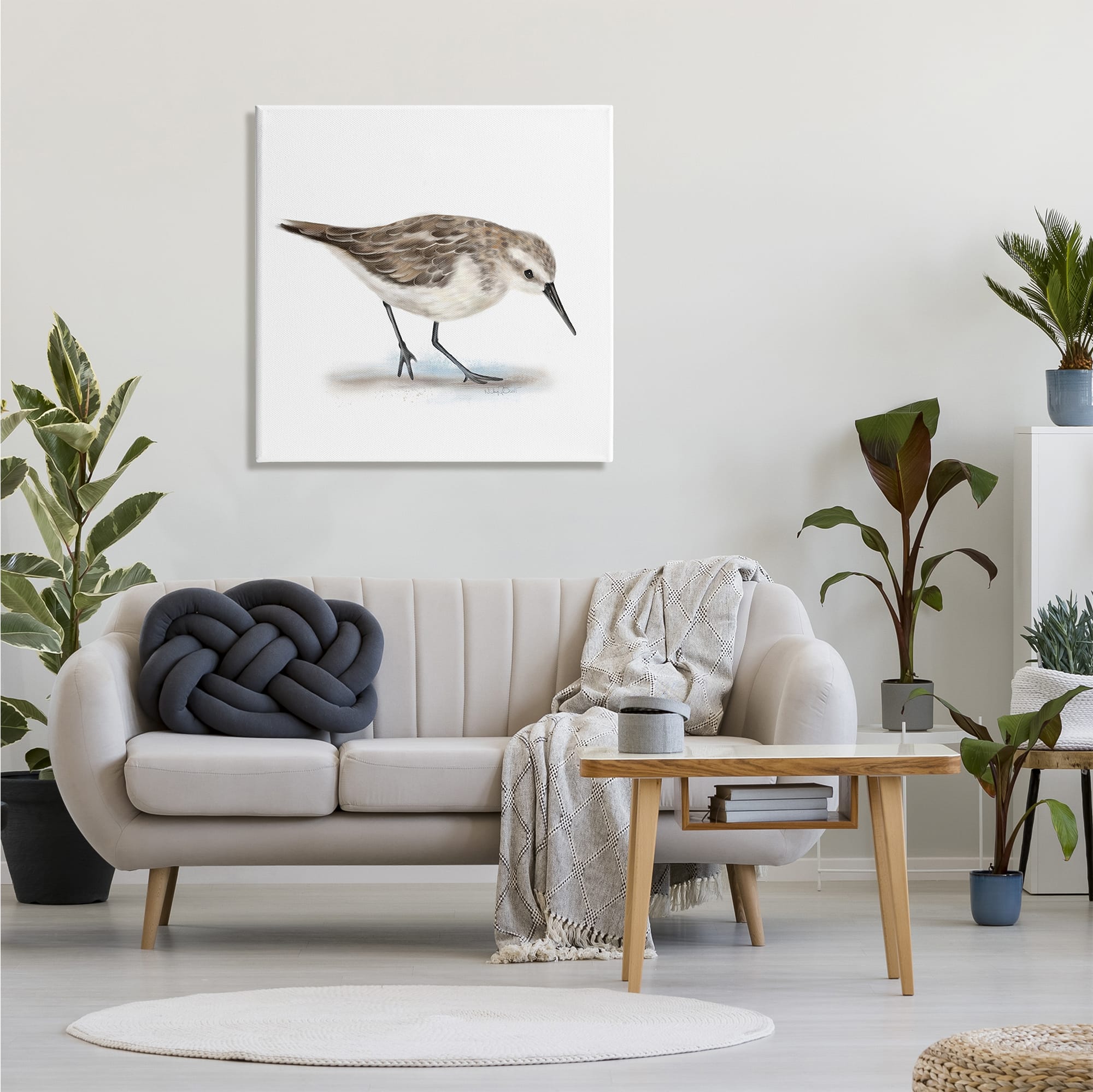 Stupell Industries Charming Sandpiper on Soft Sand Brown Nautical Bird Canvas Wall Art