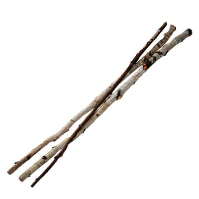 Wilson® Enterprises Birch Sticks, 3ct. | Michaels