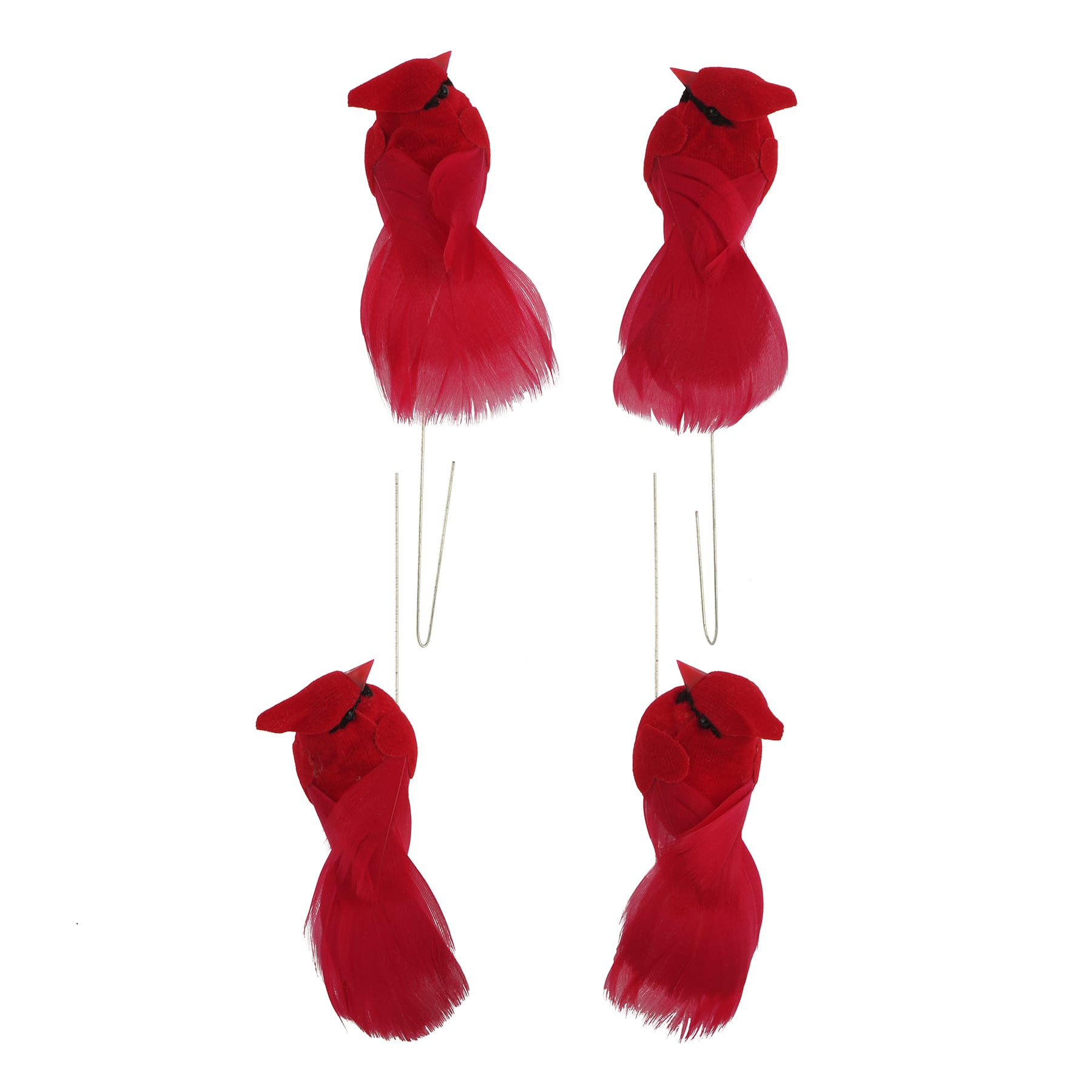 Red Cardinals, 4ct. by Ashland&#xAE;