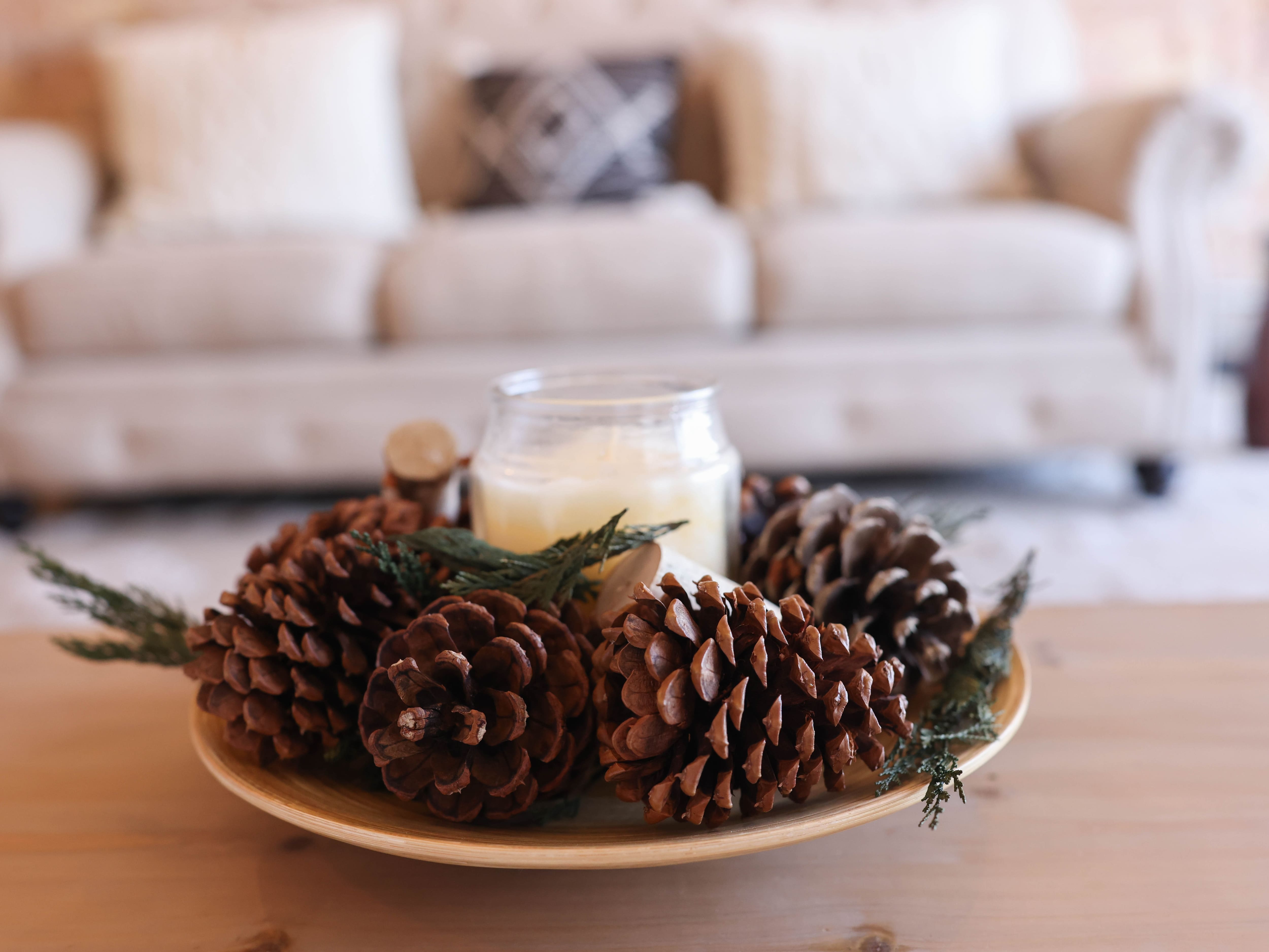 Large Cinnamon Scented Pinecones by Ashland®