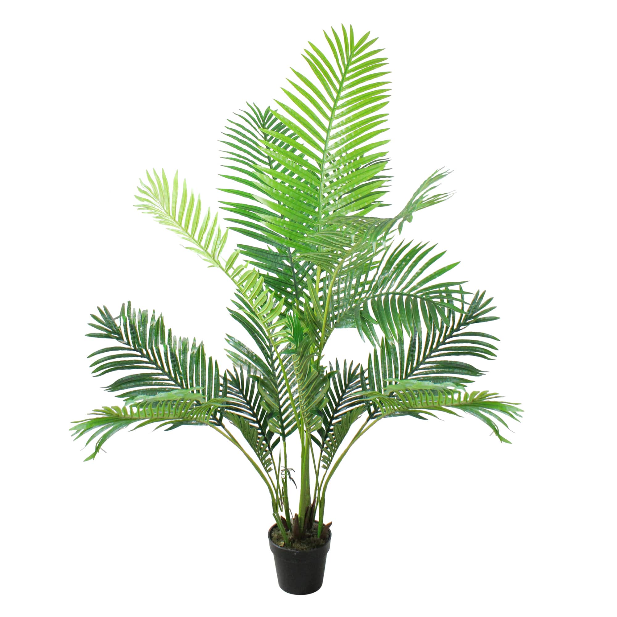 5.75ft. Green Potted Areca Palm Tree