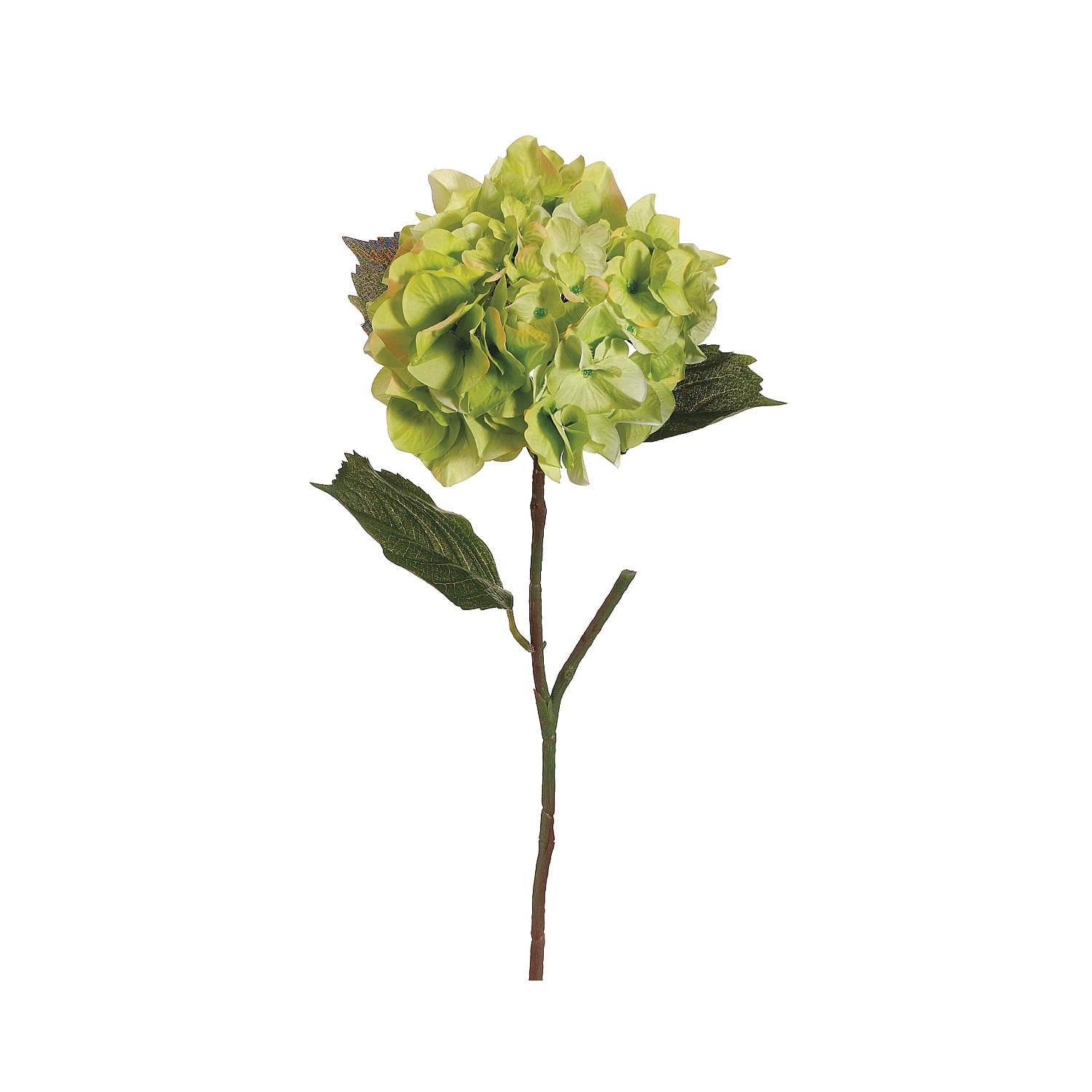 Two-Tone Green Hydrangea Spray