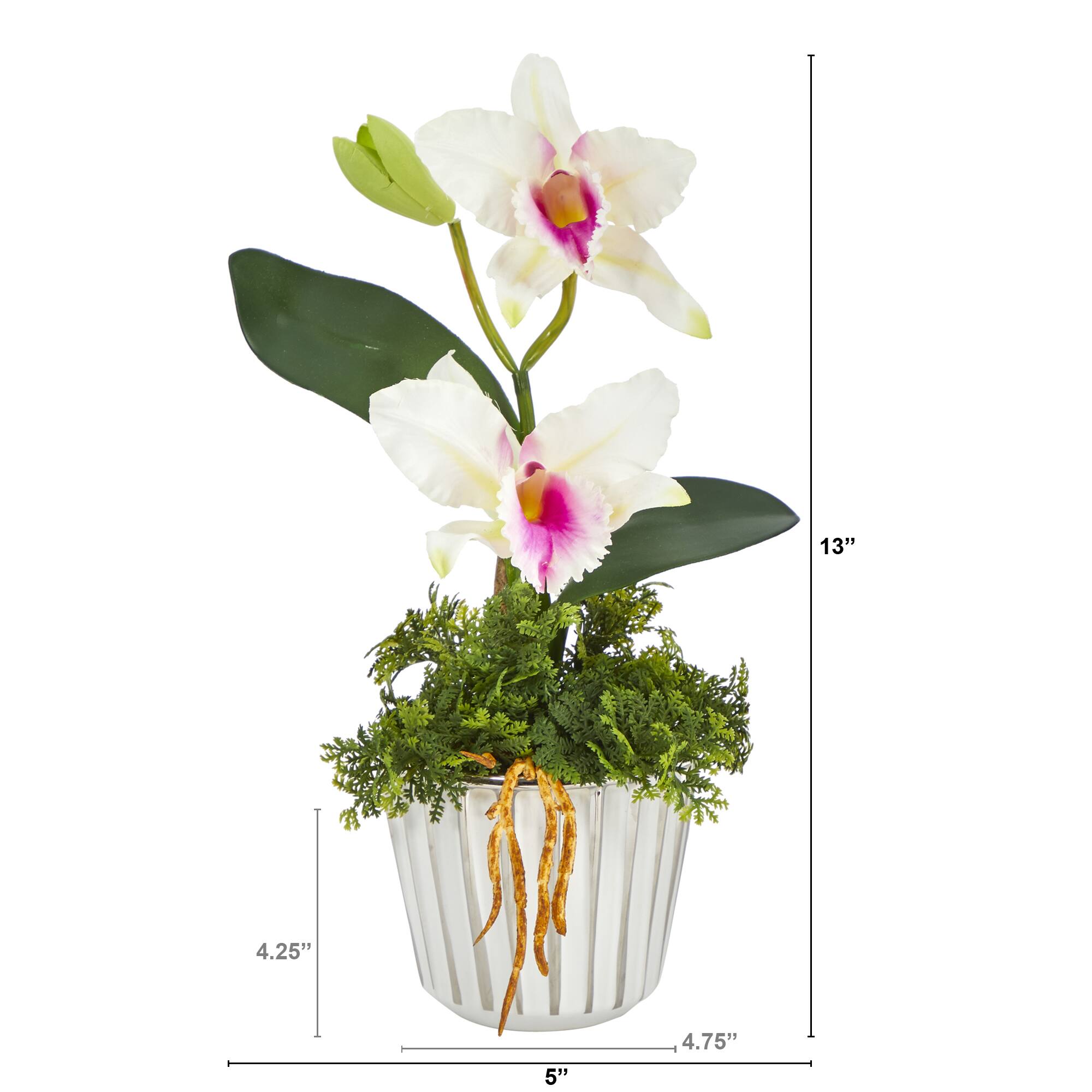 13&#x22; Mini Orchid Cattleya in White &#x26; Silver Vase
