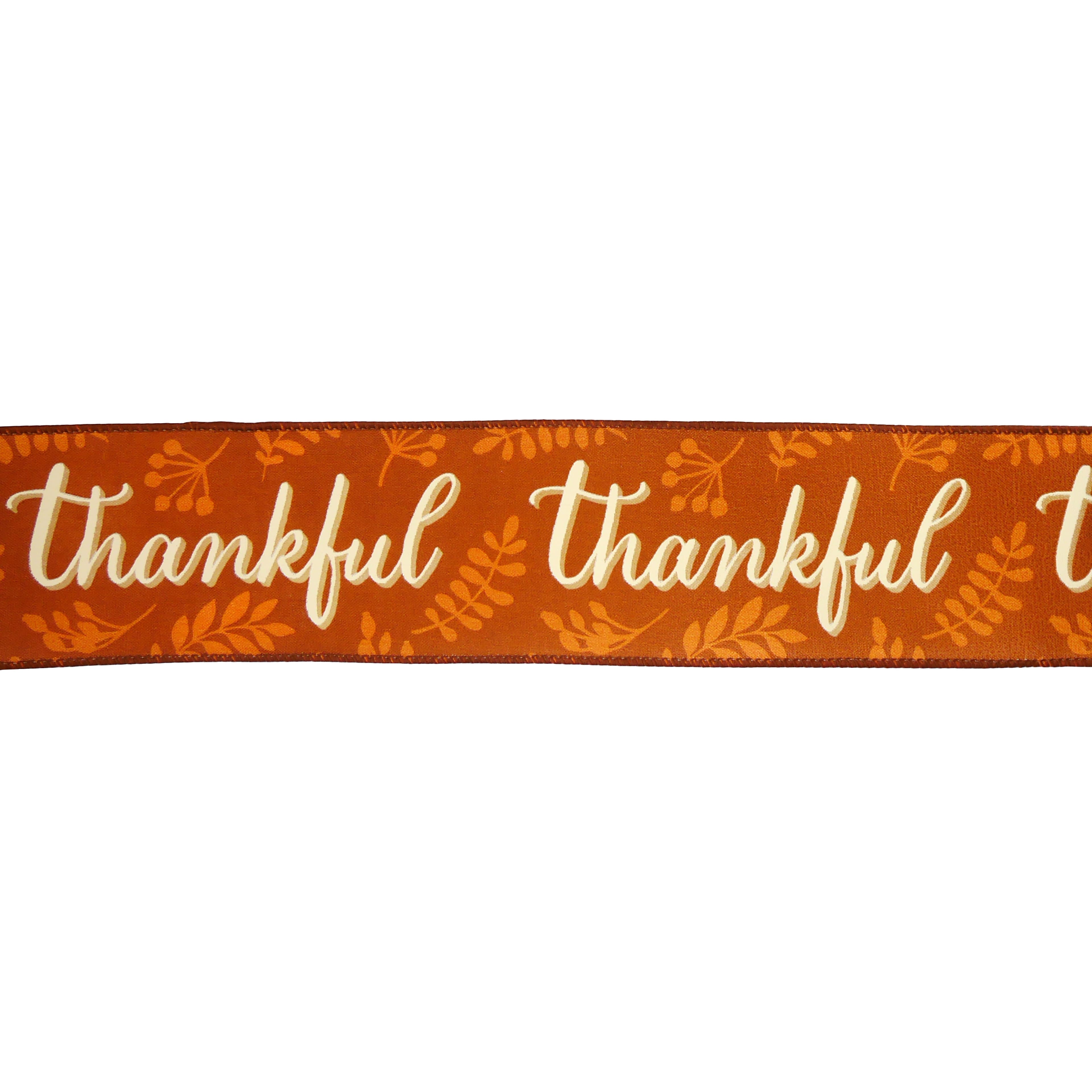 2.5&#x22; x 6.6yd. Orange Thankful Wired Ribbon by Celebrate It&#xAE;