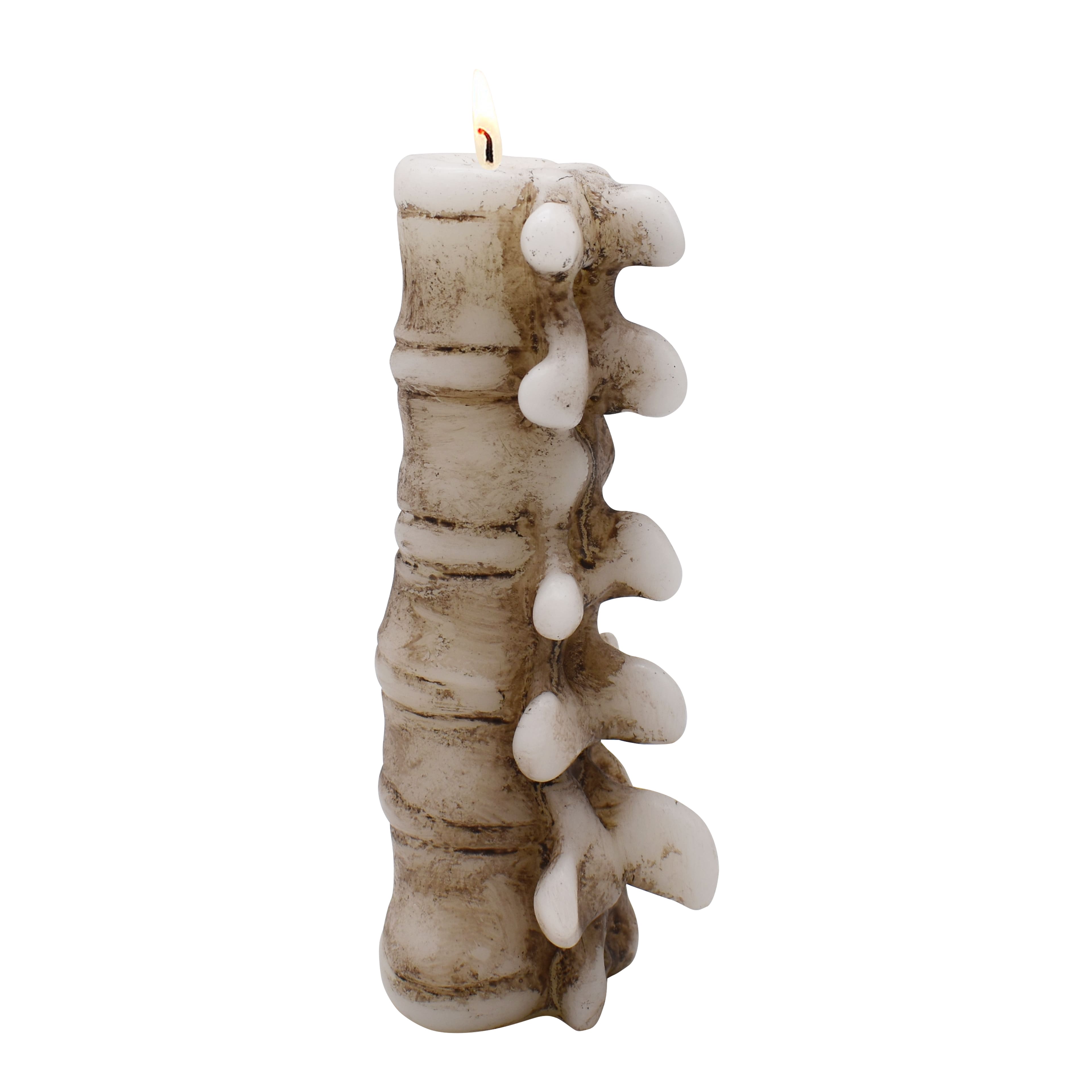 8&#x22; Spine Shaped Candle by Ashland&#xAE;