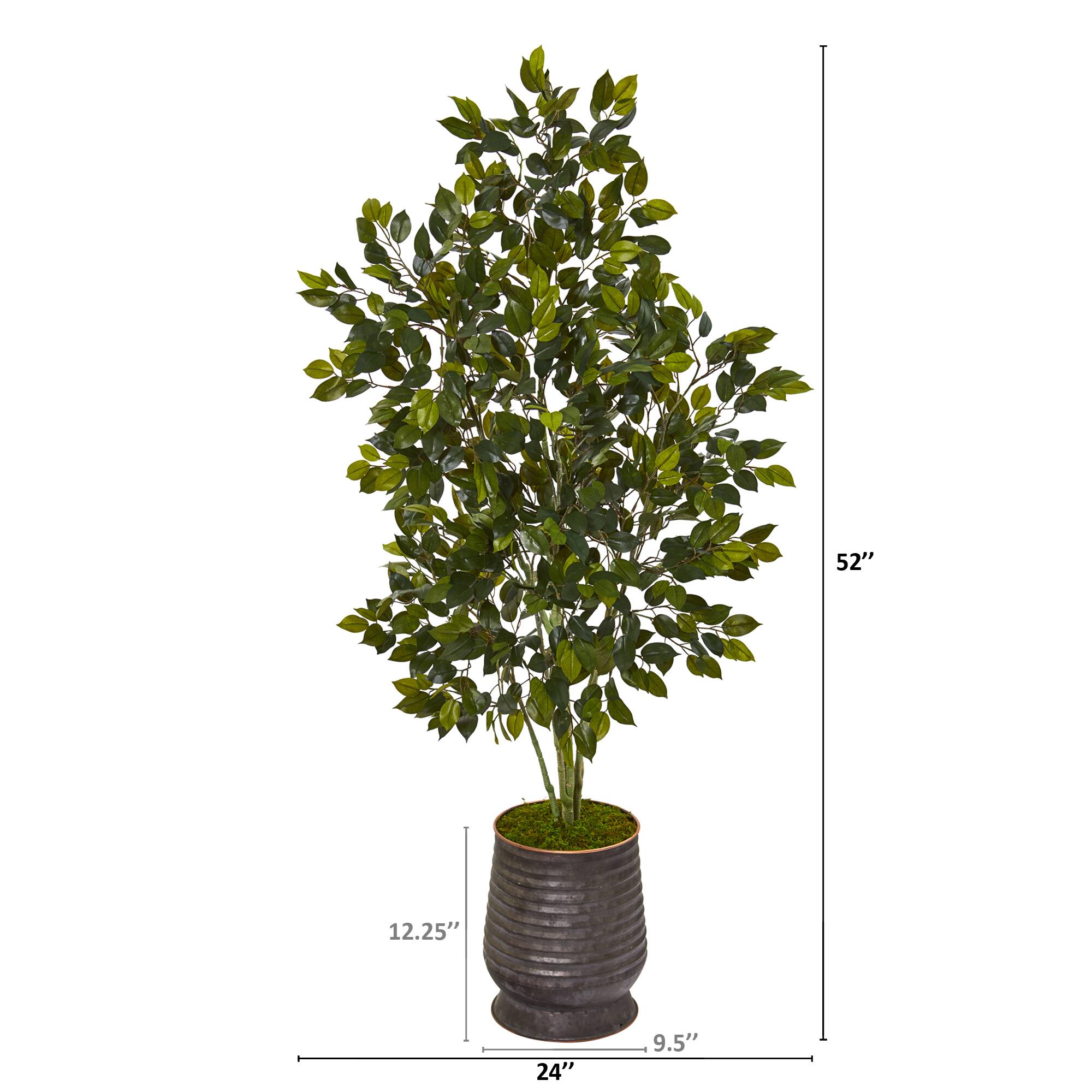 4.5ft. Ficus Tree in Ribbed Metal Planter