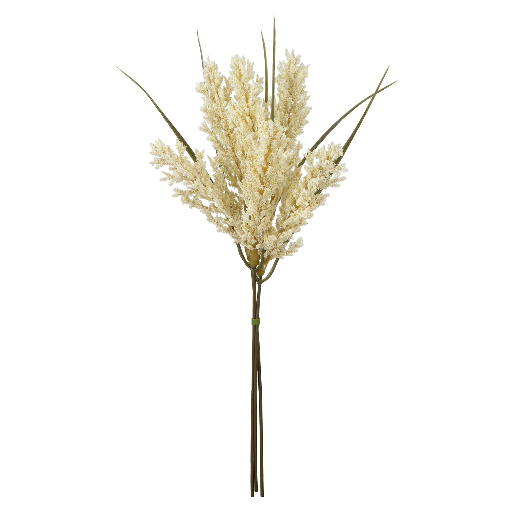12&#x22; Mini Foxtail Bundle by Ashland&#xAE;