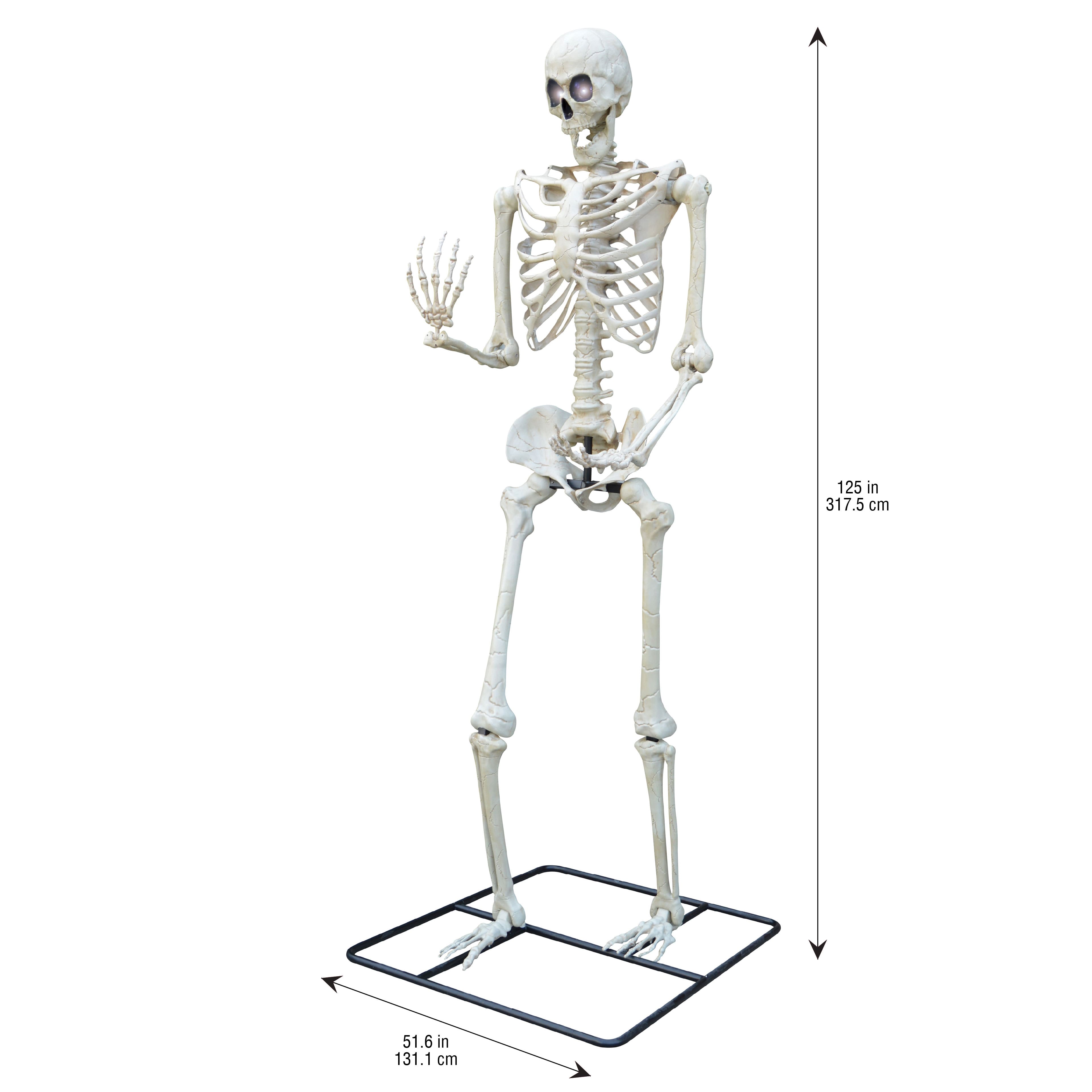 10ft. Oversized Posable Skeleton by Ashland&#xAE;