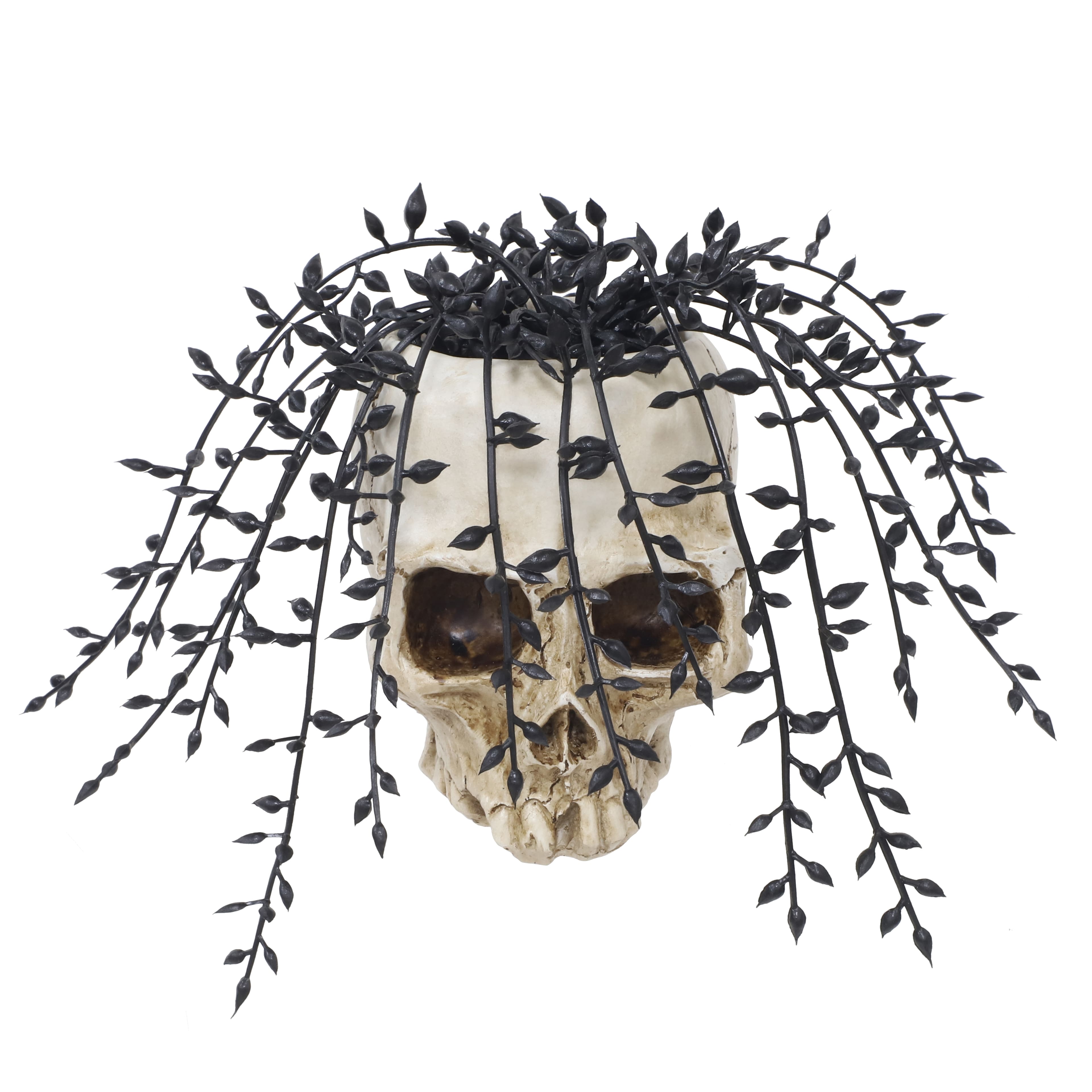 5&#x22; Potted String of Pearls in Skull by Ashland&#xAE;